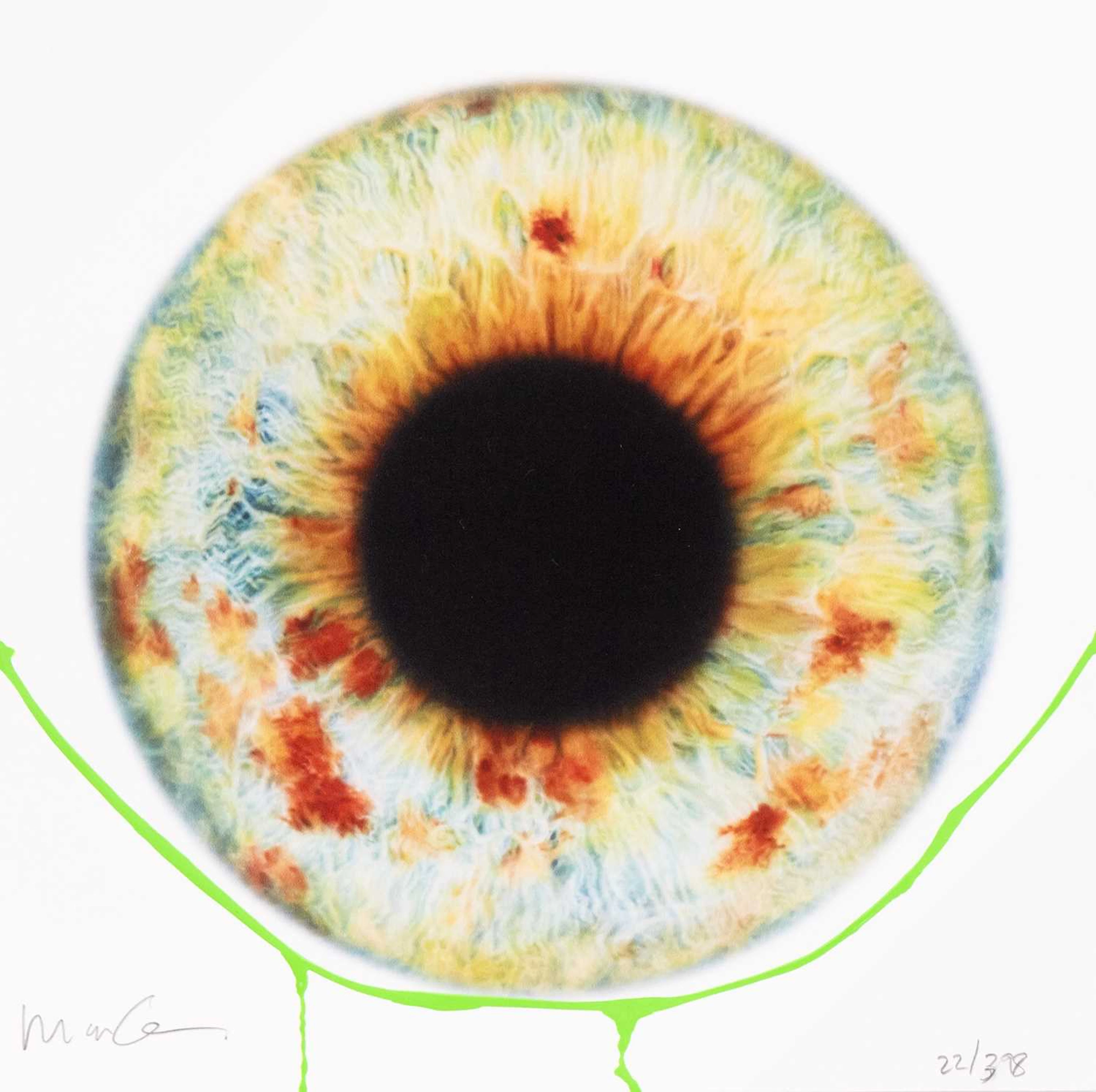 MARC QUINN SPECTRUM OF SENTIENCE, 2003