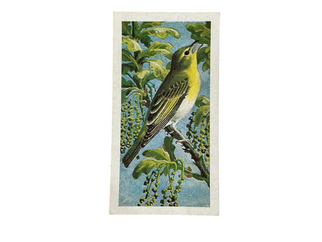 LARGE COLLECTION OF CIGARETTE CARDS EARLY 20TH CENTURY AND LATER
