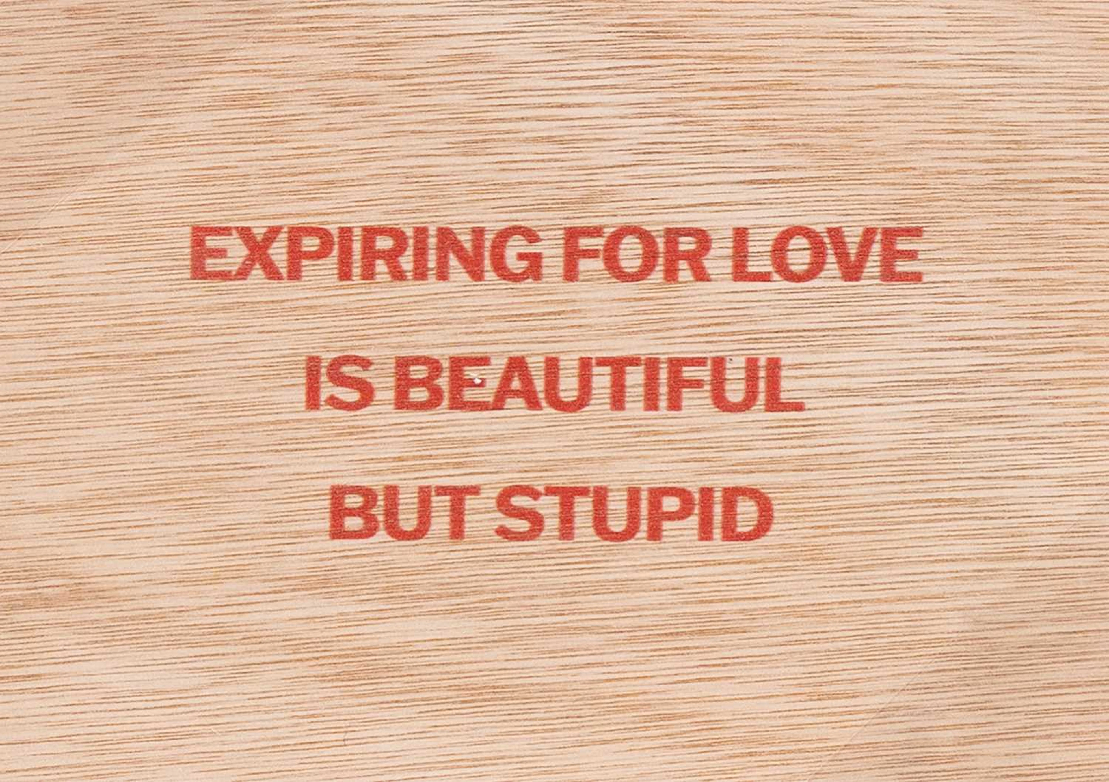 JENNY HOLZER EXPIRING FOR LOVE IS BEAUTIFUL BUT STUPID