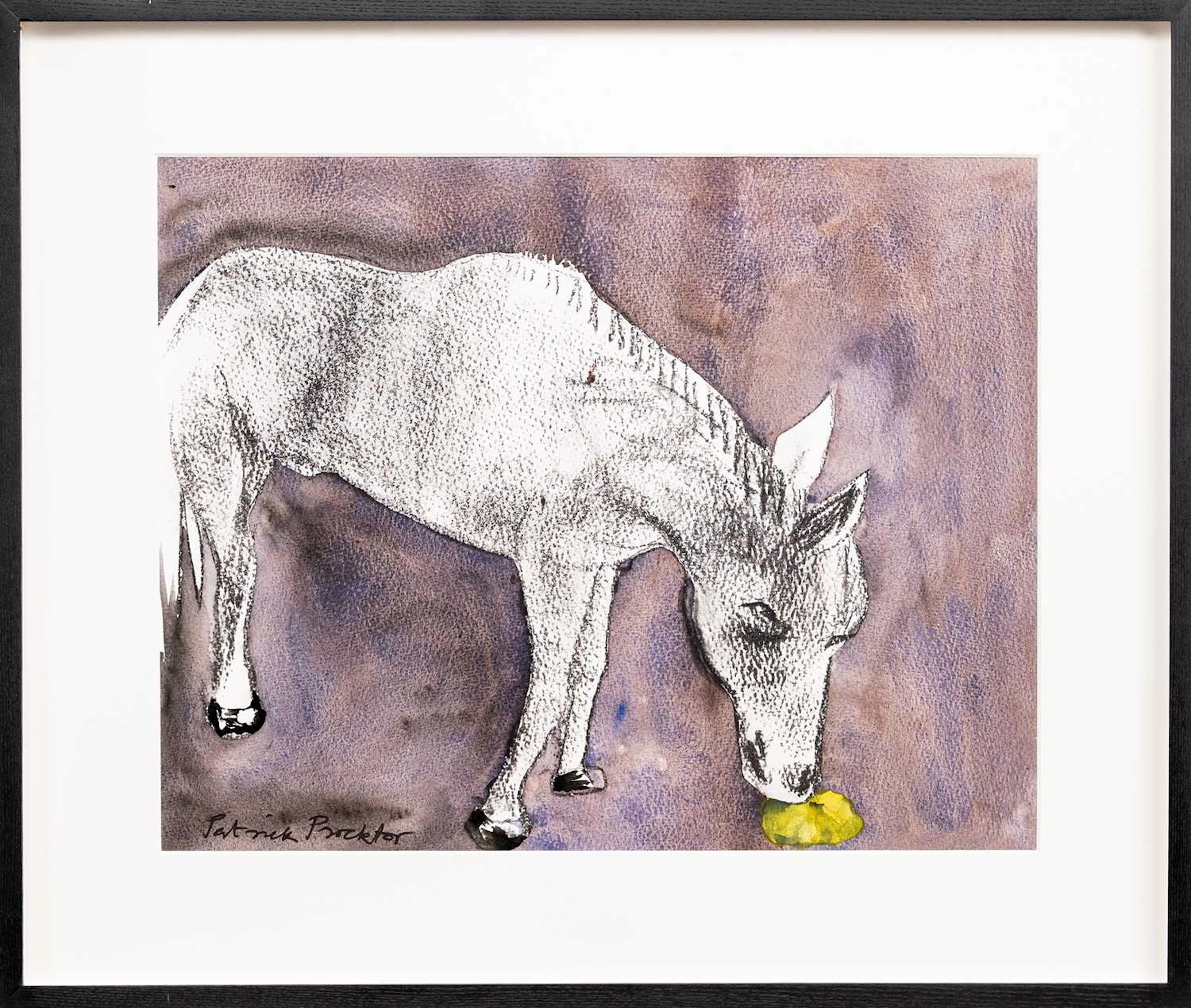 * PATRICK PROCKTOR RA (BRITISH 1936 - 2003) DONKEY