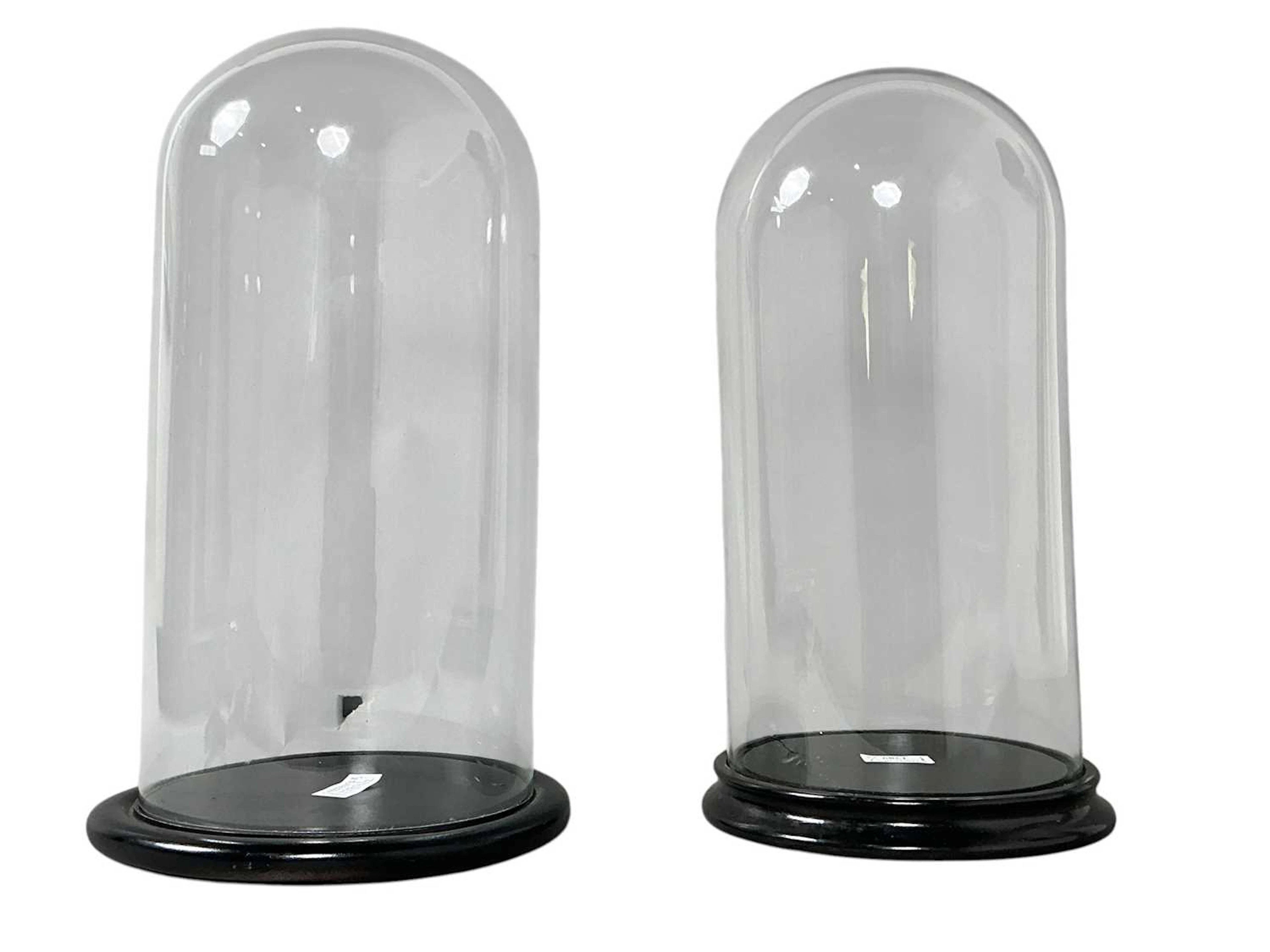 NEAR PAIR OF VICTORIAN GLASS DOME DISPLAY STANDS LATE 19TH CENTURY
