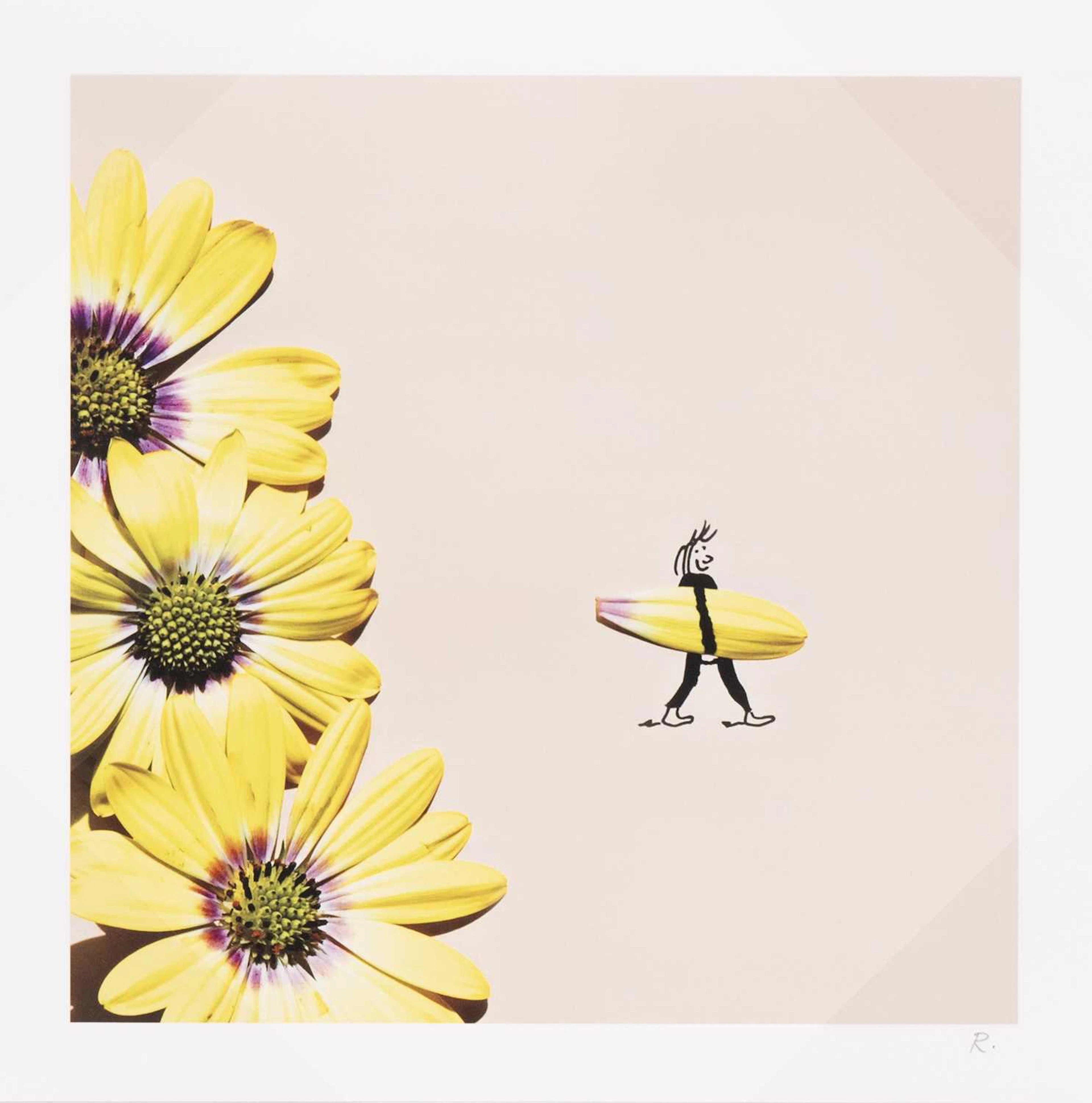 ROMAIN JOLLY FLOWER SURFER