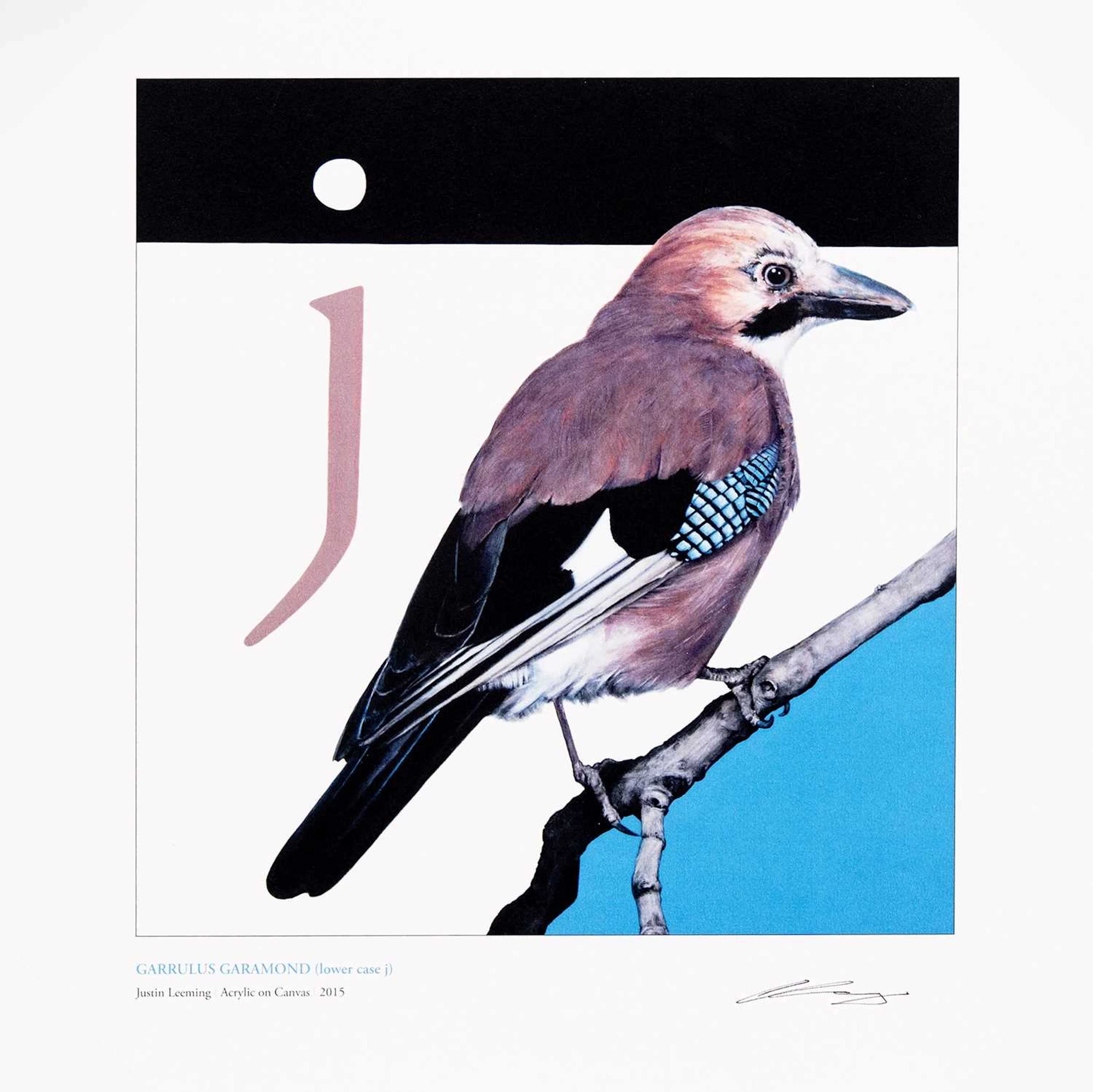 JUSTIN LEEMING GARRULUS GARAMOND