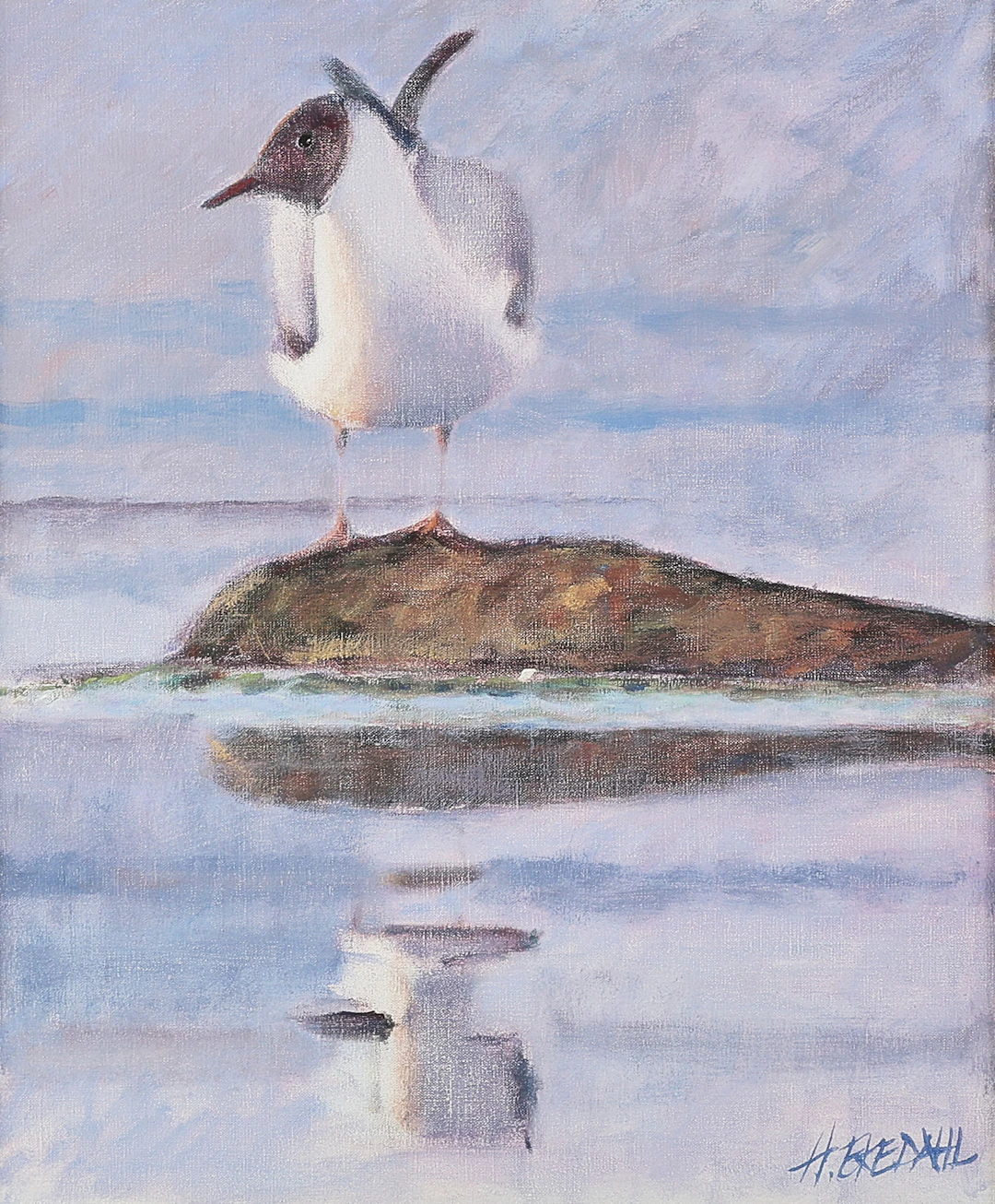 HANS EKDAL. Oljemålning signerad, fiskmås, duk.
