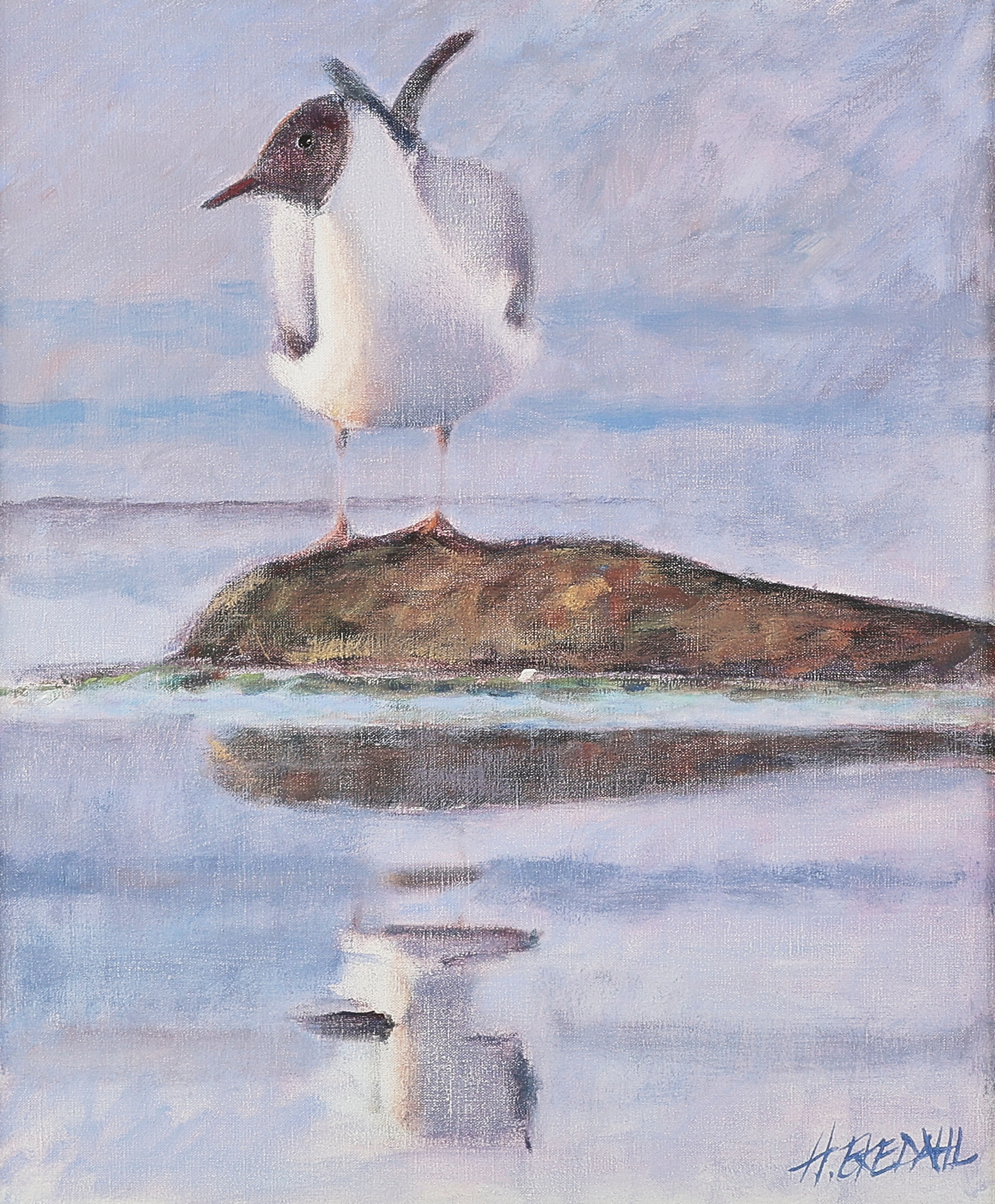 HANS EKDAL. Oljemålning signerad, fiskmås, duk.