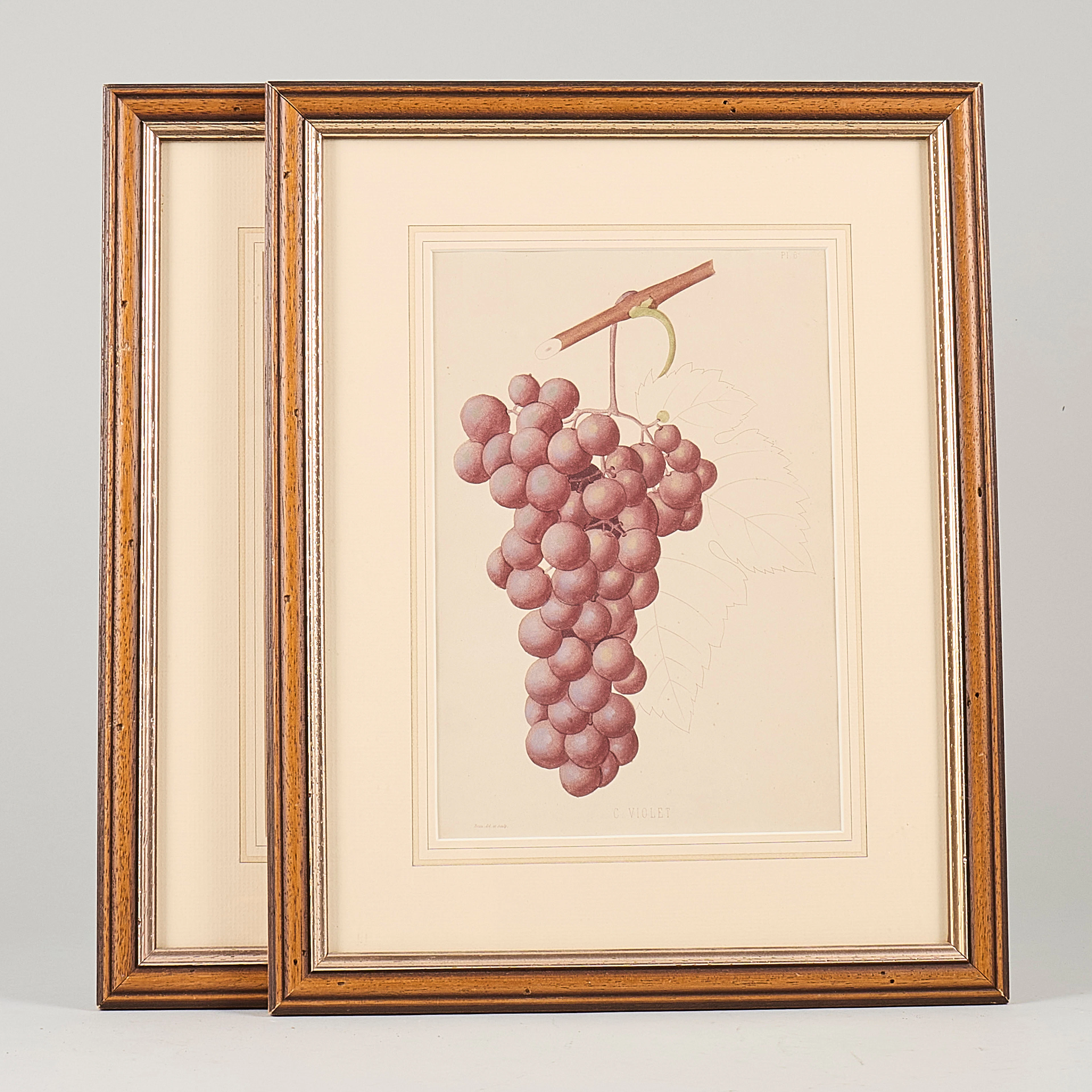 GRAFISKA BLAD, 2 st, " Les fruits cultivees en France.