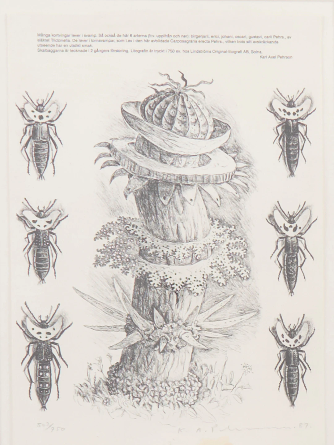 KARL AXEL PEHRSON. Litografi.