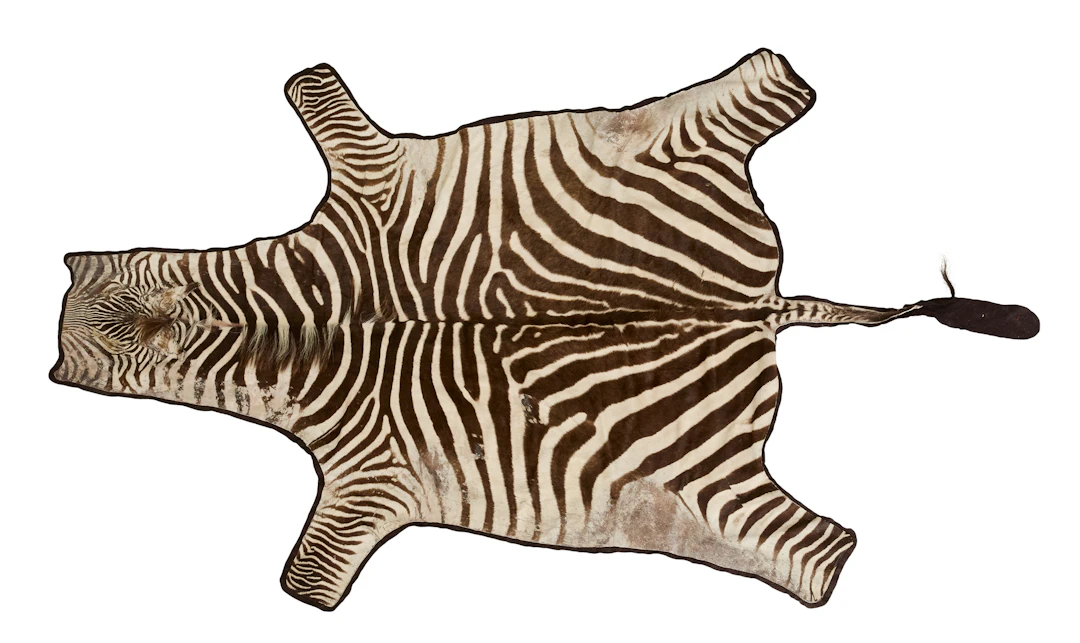 Vintage Zebra Hide Rug