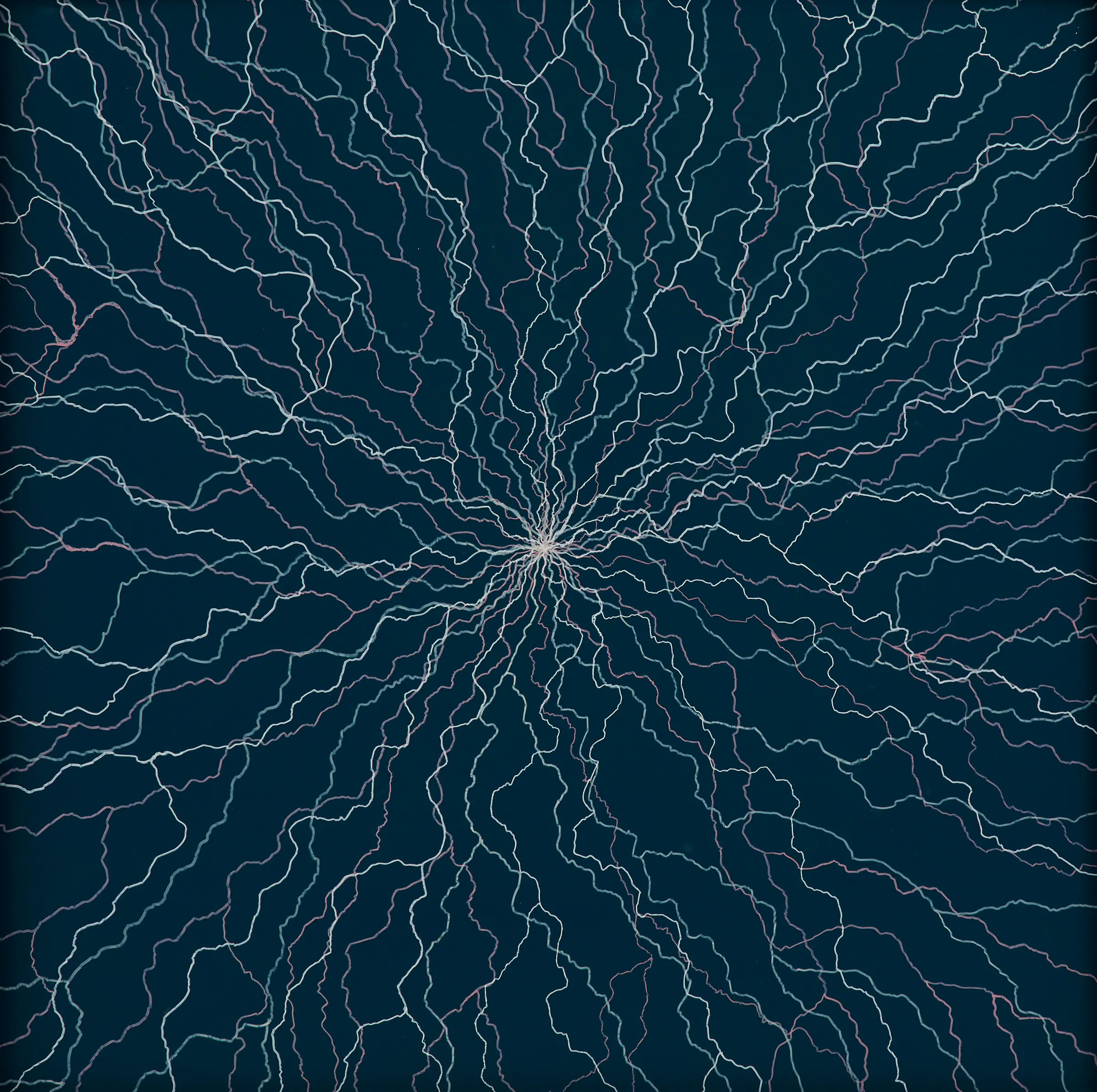 Lichtenberg Figure