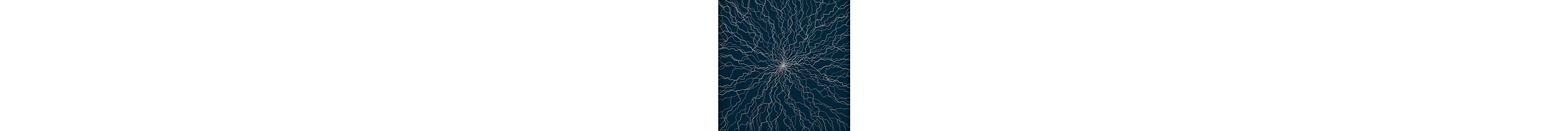 Lichtenberg Figure
