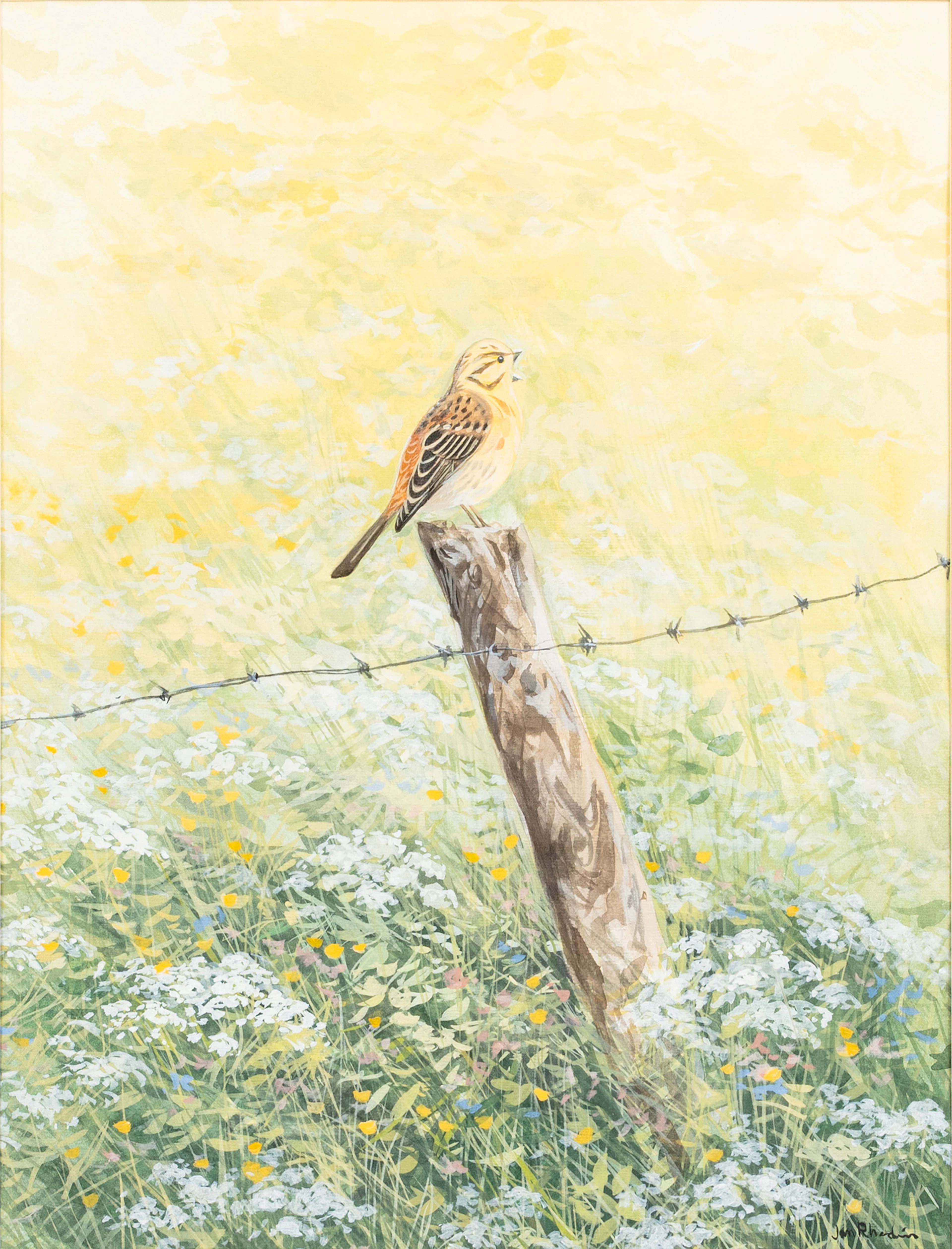 JAN RHODIN (1938-2022). Gulsparv, gouach, signerad.