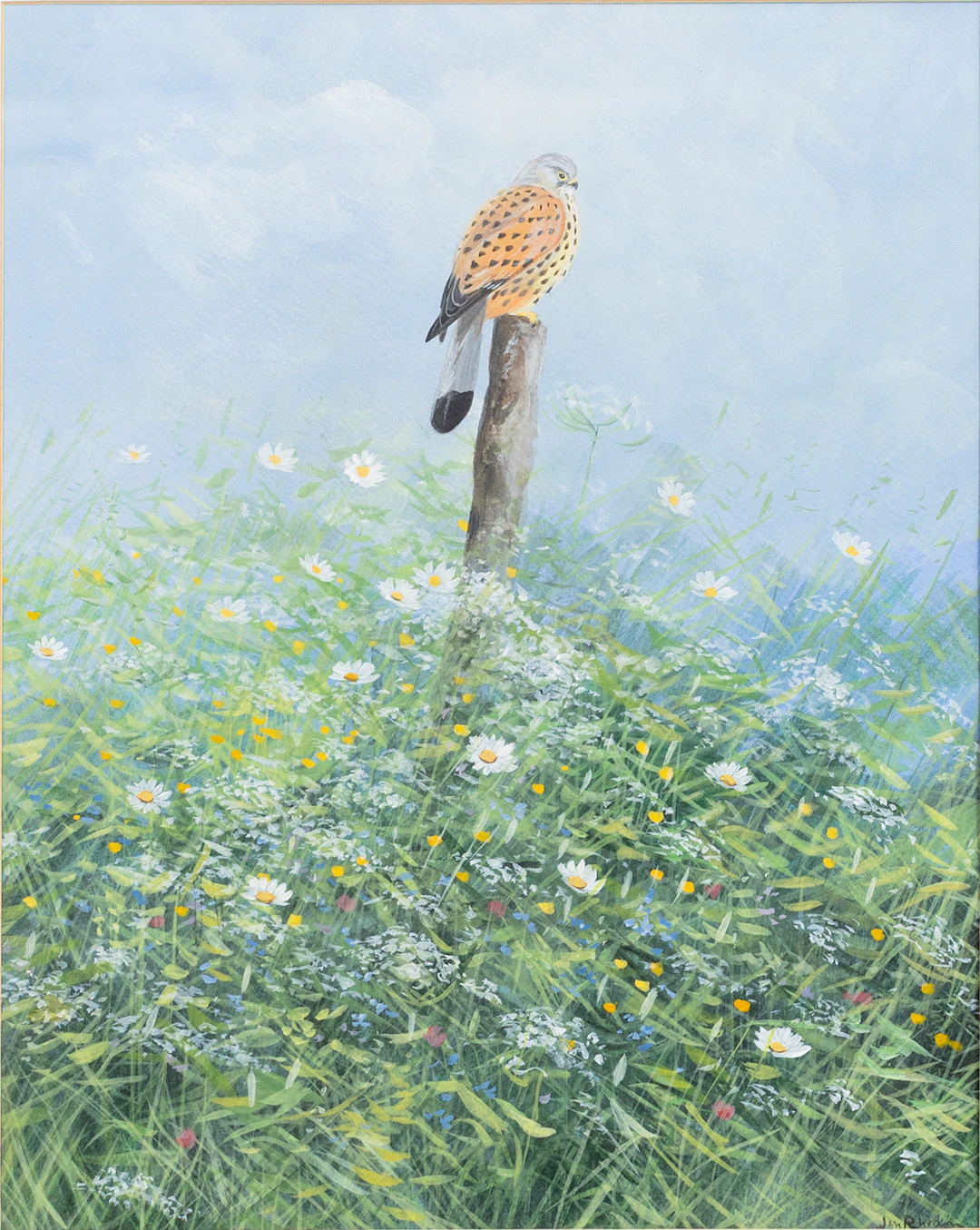 JAN RHODIN (1938-2022). Tornfalk, gouache, signerad.