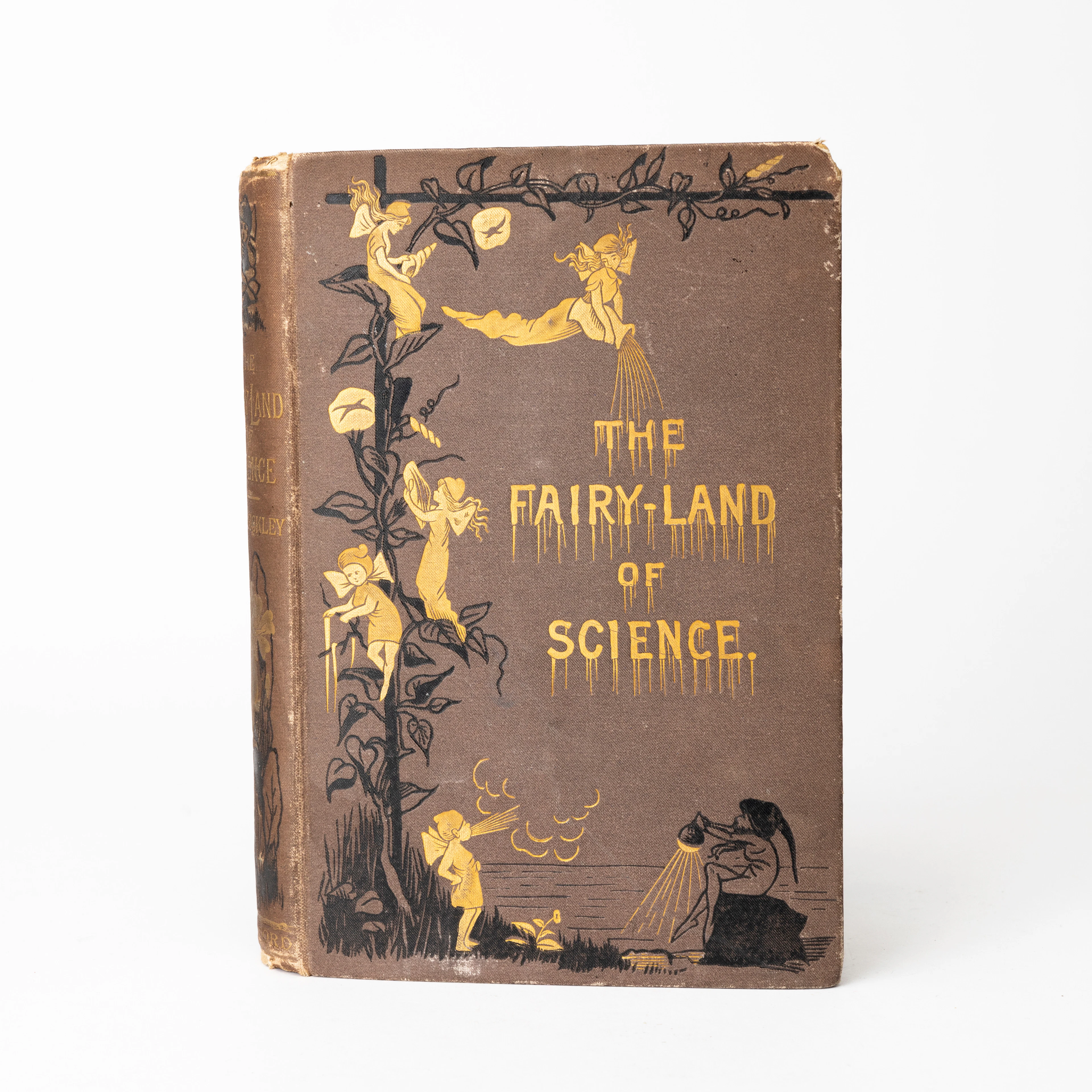 ARABELLA B. BUCKLEY (1840-1929). "The Fairy-Land of Science", bok