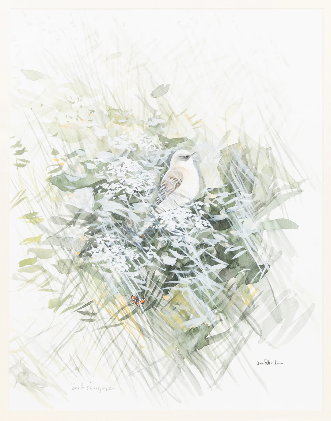 JAN RHODIN (1938-2022). "Ärtsångare", gouache, signerad.