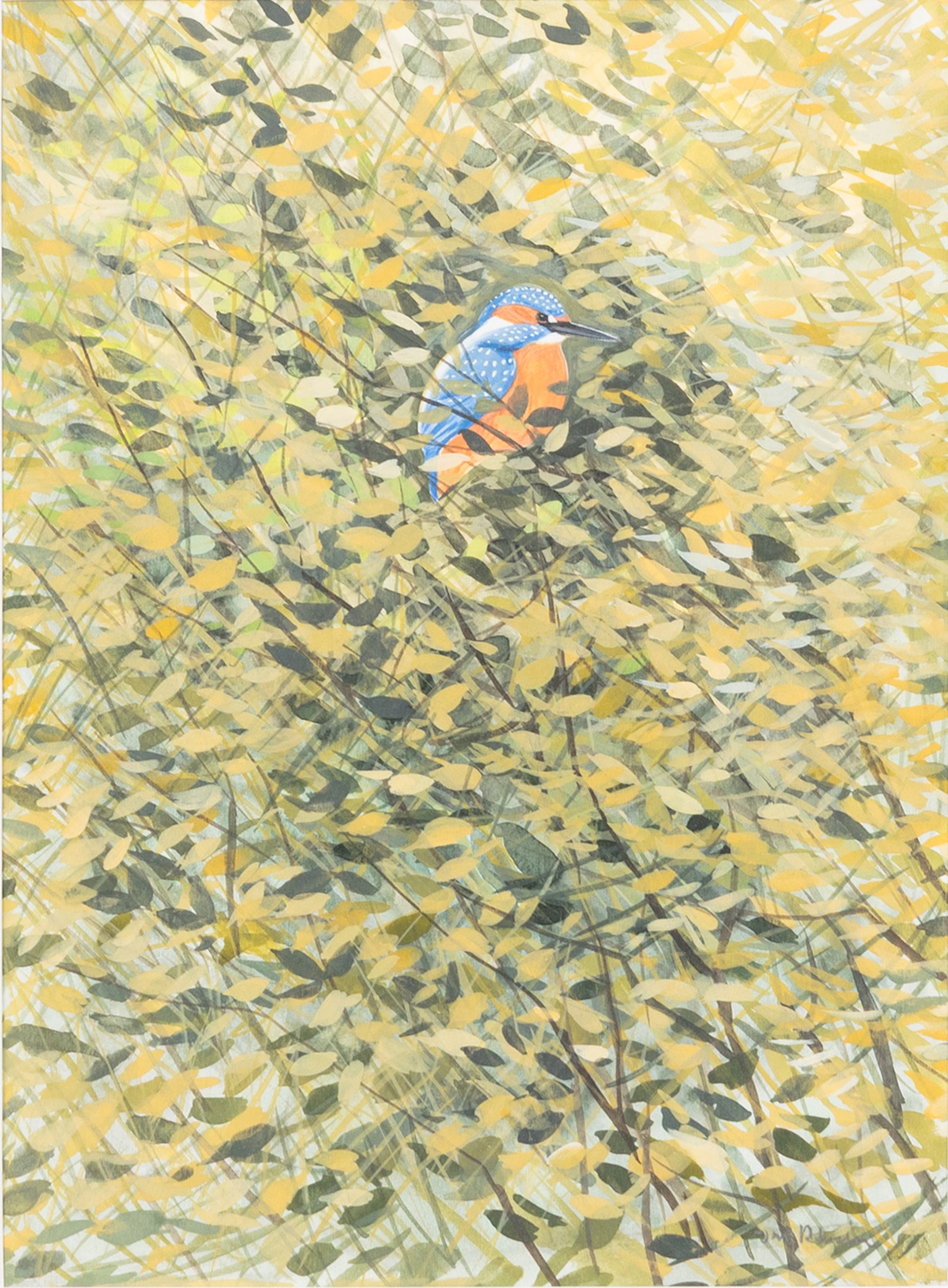 JAN RHODIN (1938-2022). Kungsfiskare, gouache, signerad.