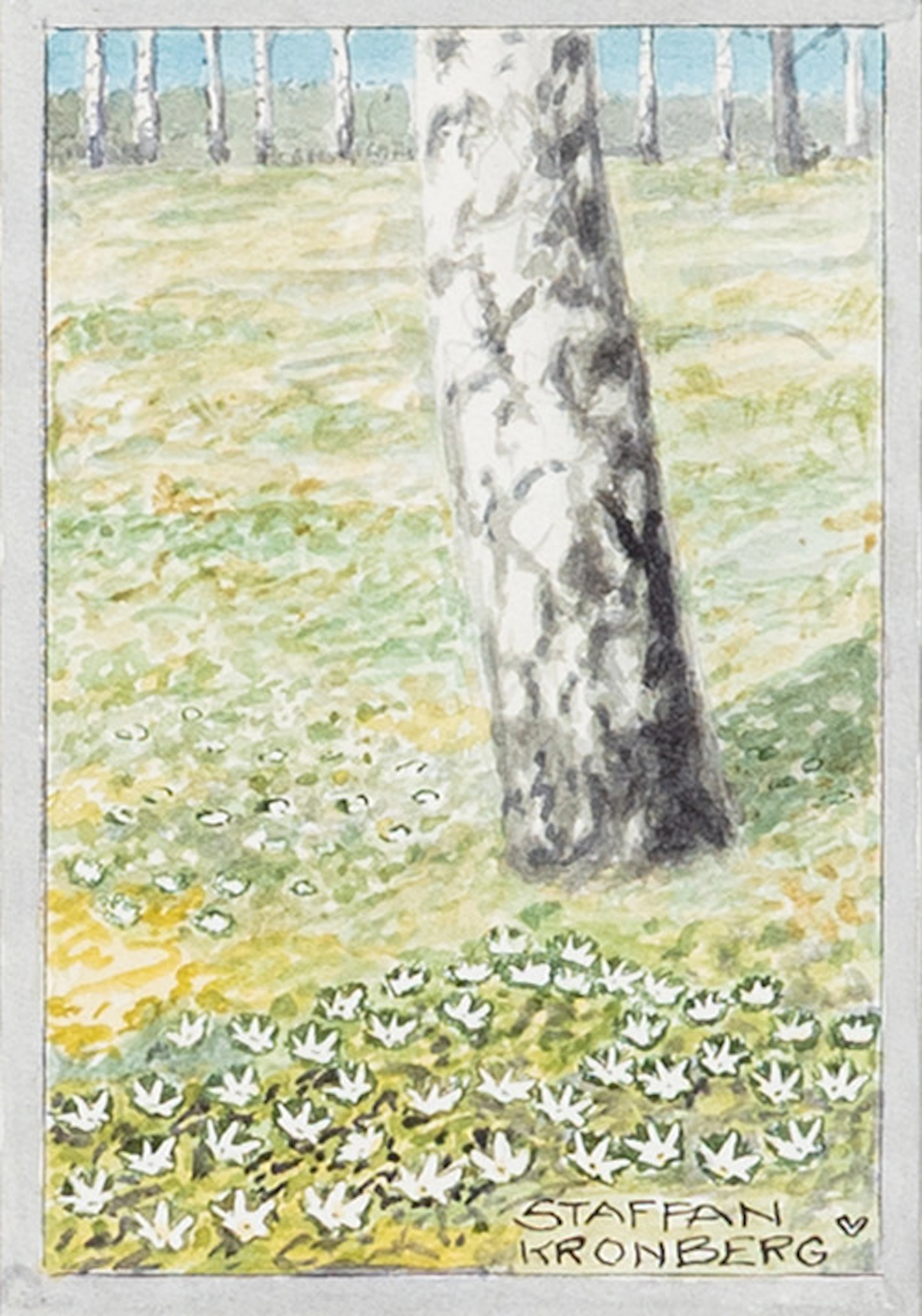 STAFFAN KRONBERG (1902-). Björkar i sommarlandskap, akvarell, signerad.