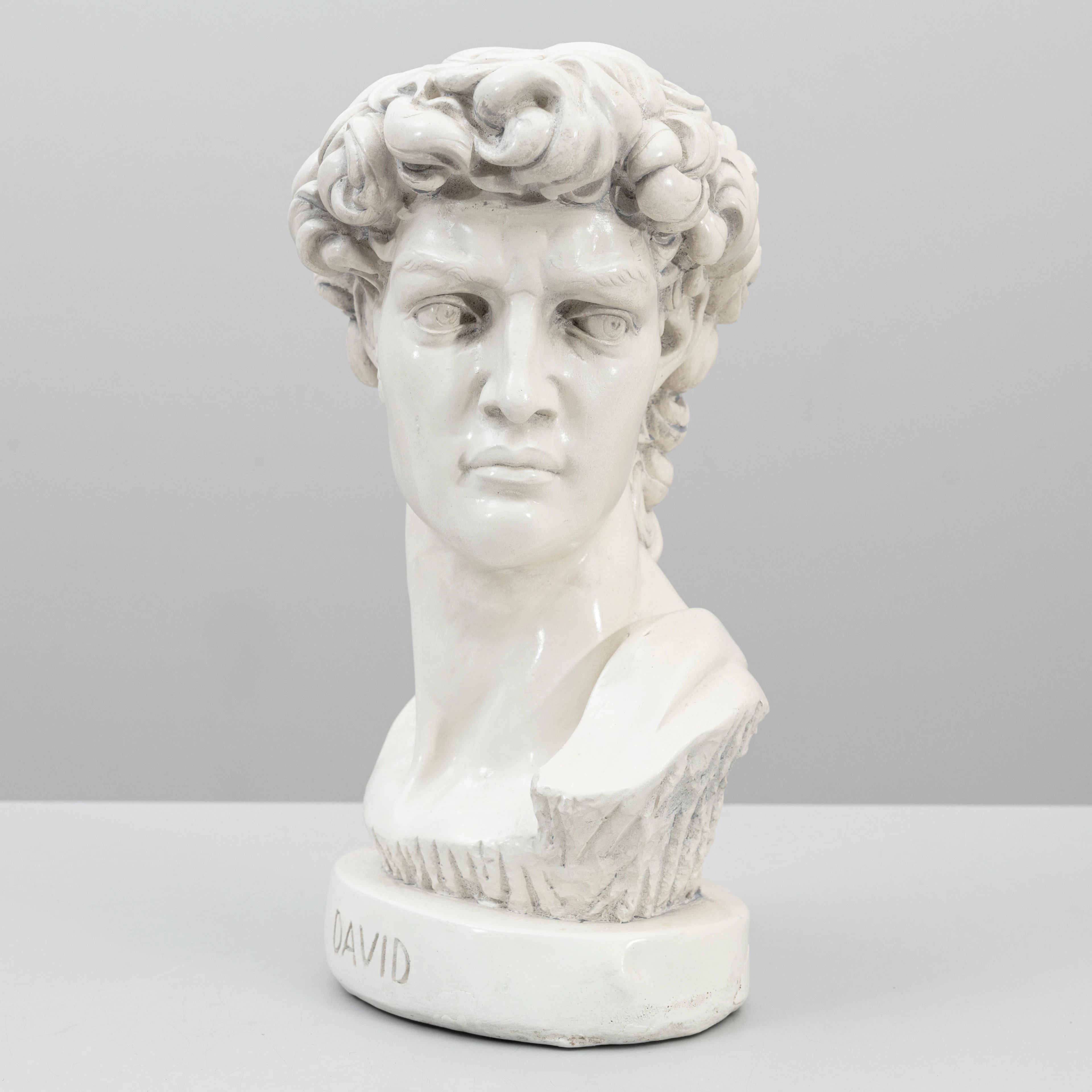 SKULPTUR/BYST, komposit, "David", efter Michelangelo Buonarroti, 1900-talets