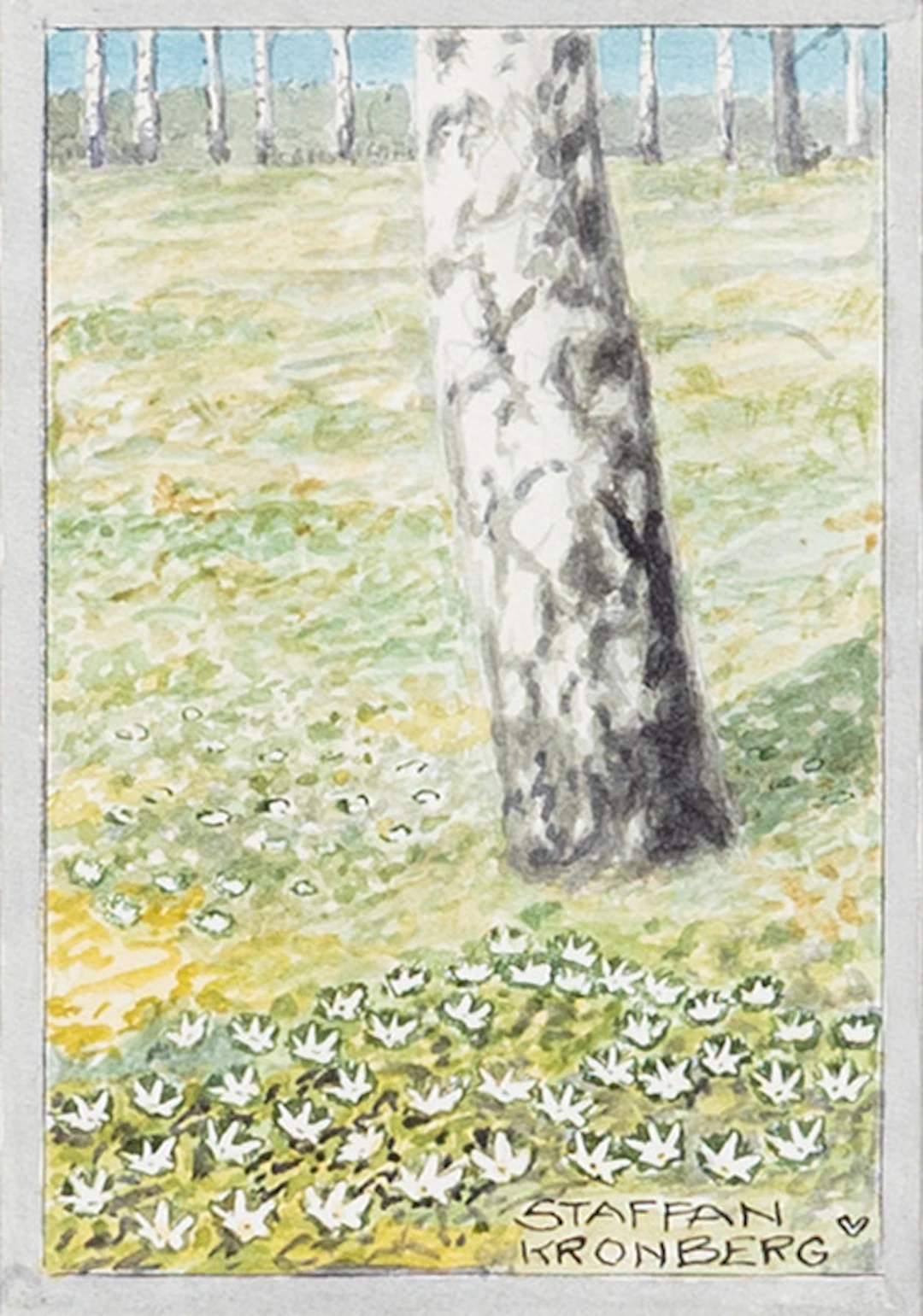 STAFFAN KRONBERG (1902-). Björkar i sommarlandskap, akvarell, signerad.