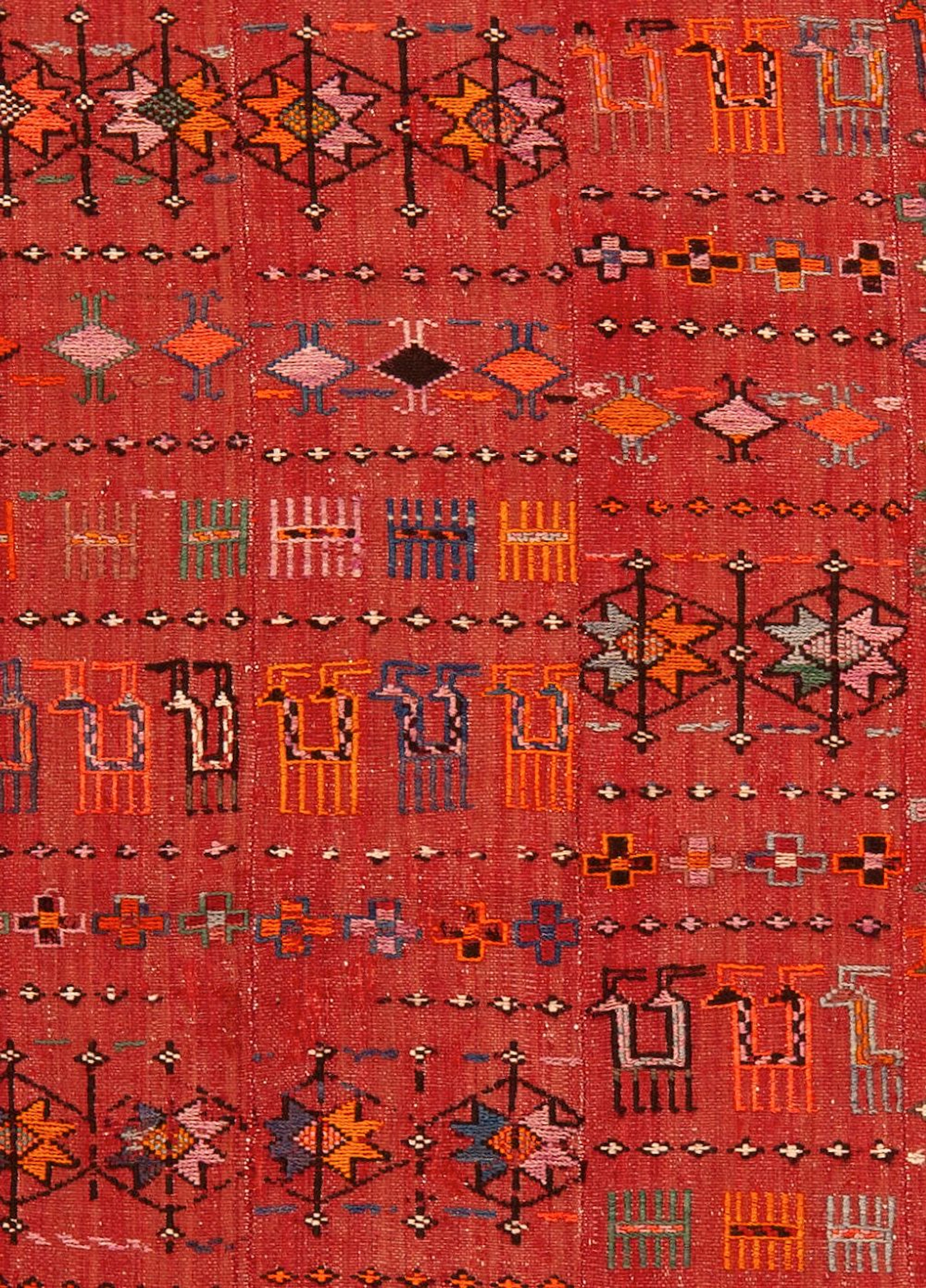 No Reserve -Vintage Persian Verneh Animal and Bird Kilim - Mid-20th