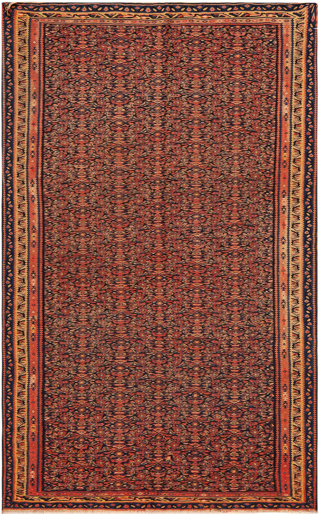 No Reserve -Antique Persian Senneh Kilim - Circa 1900 - 6 ft 7 in