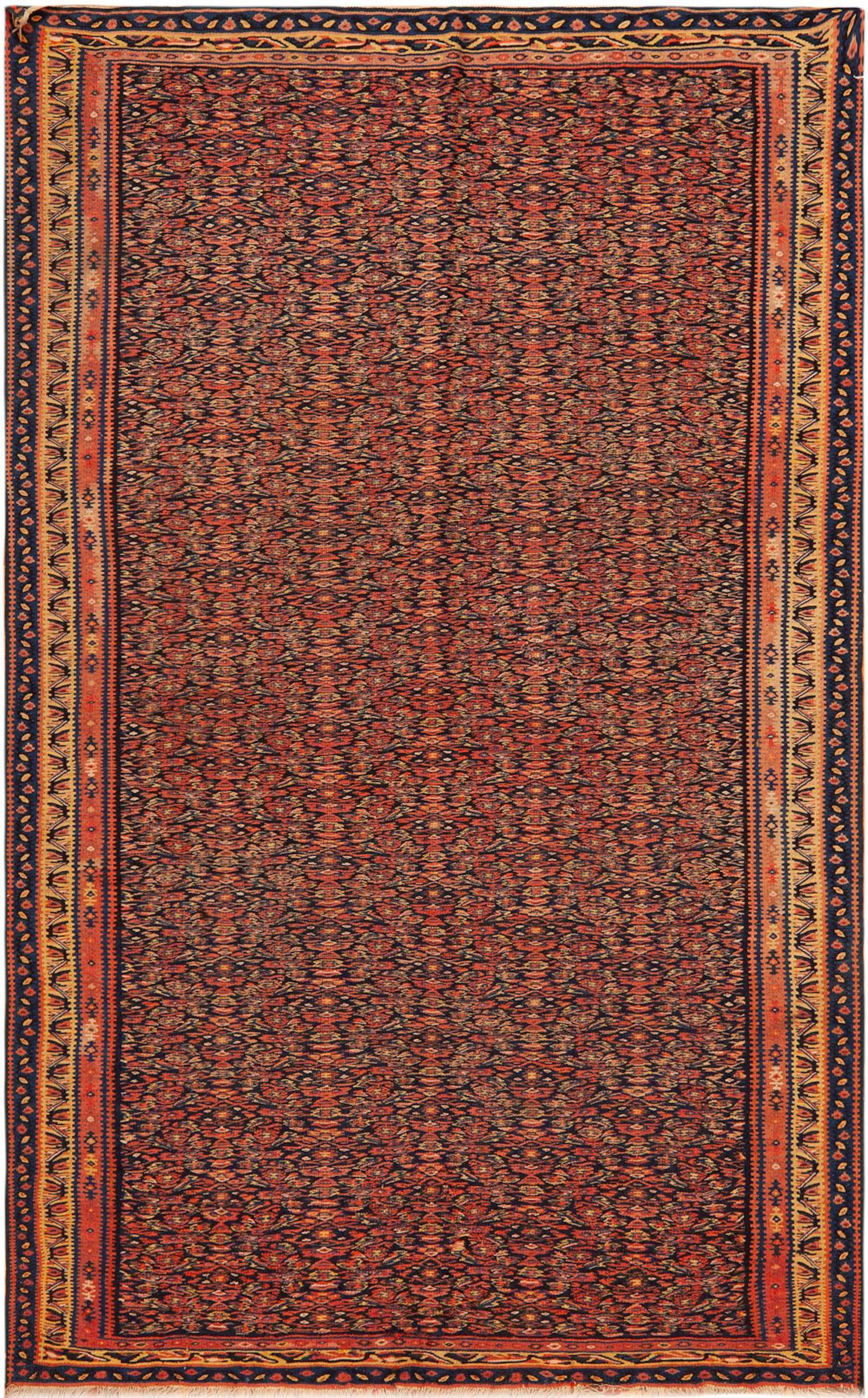 No Reserve -Antique Persian Senneh Kilim - Circa 1900 - 6 ft 7 in