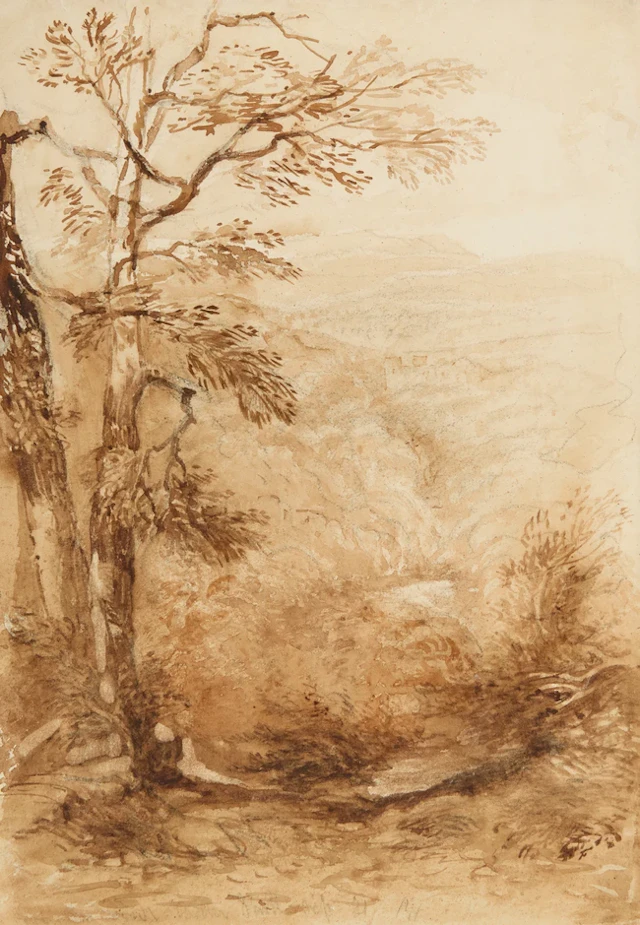David Cox