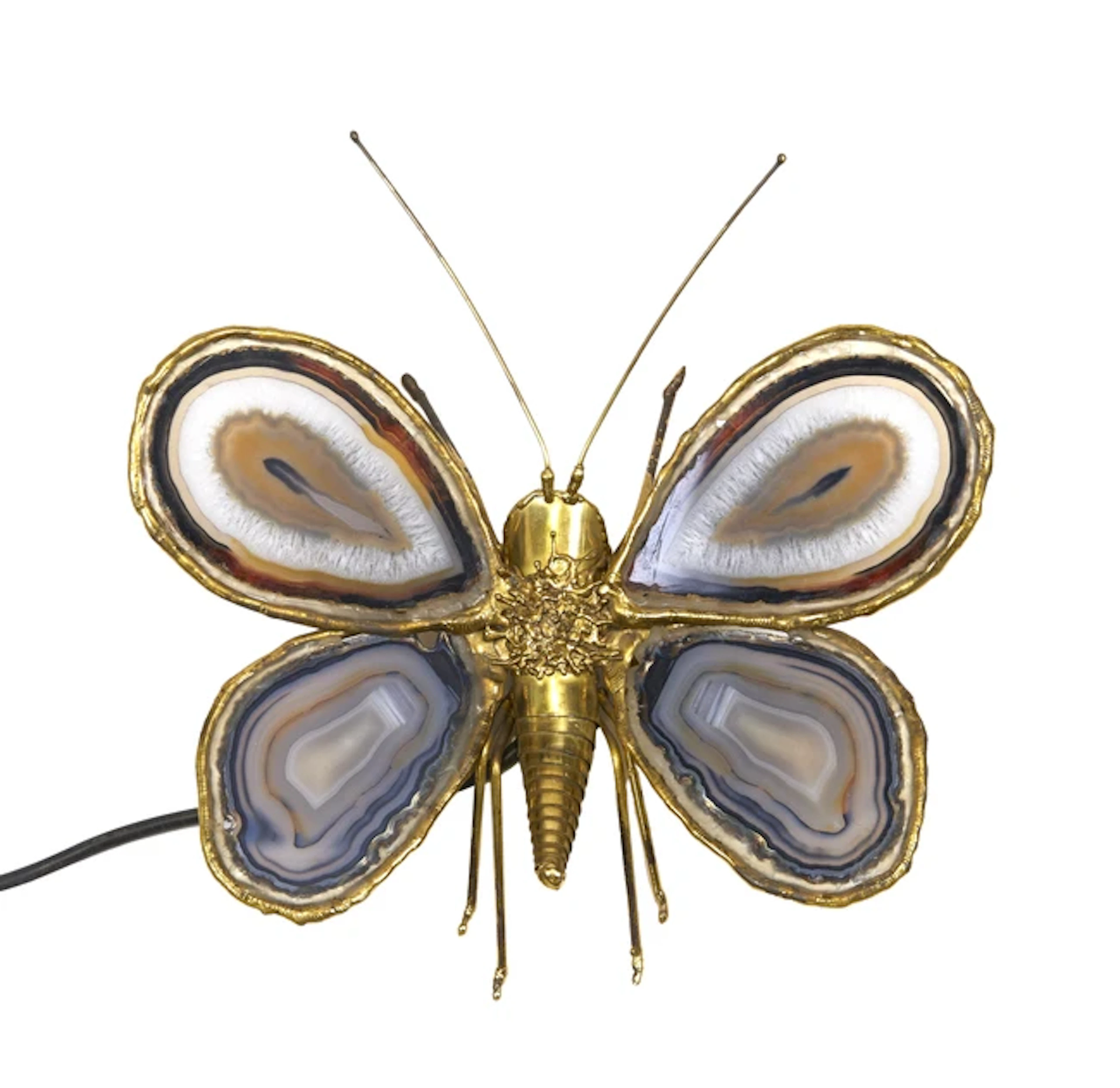 Attributed to Jacques Duval-Brasseur Butterfly wall light /table lamp