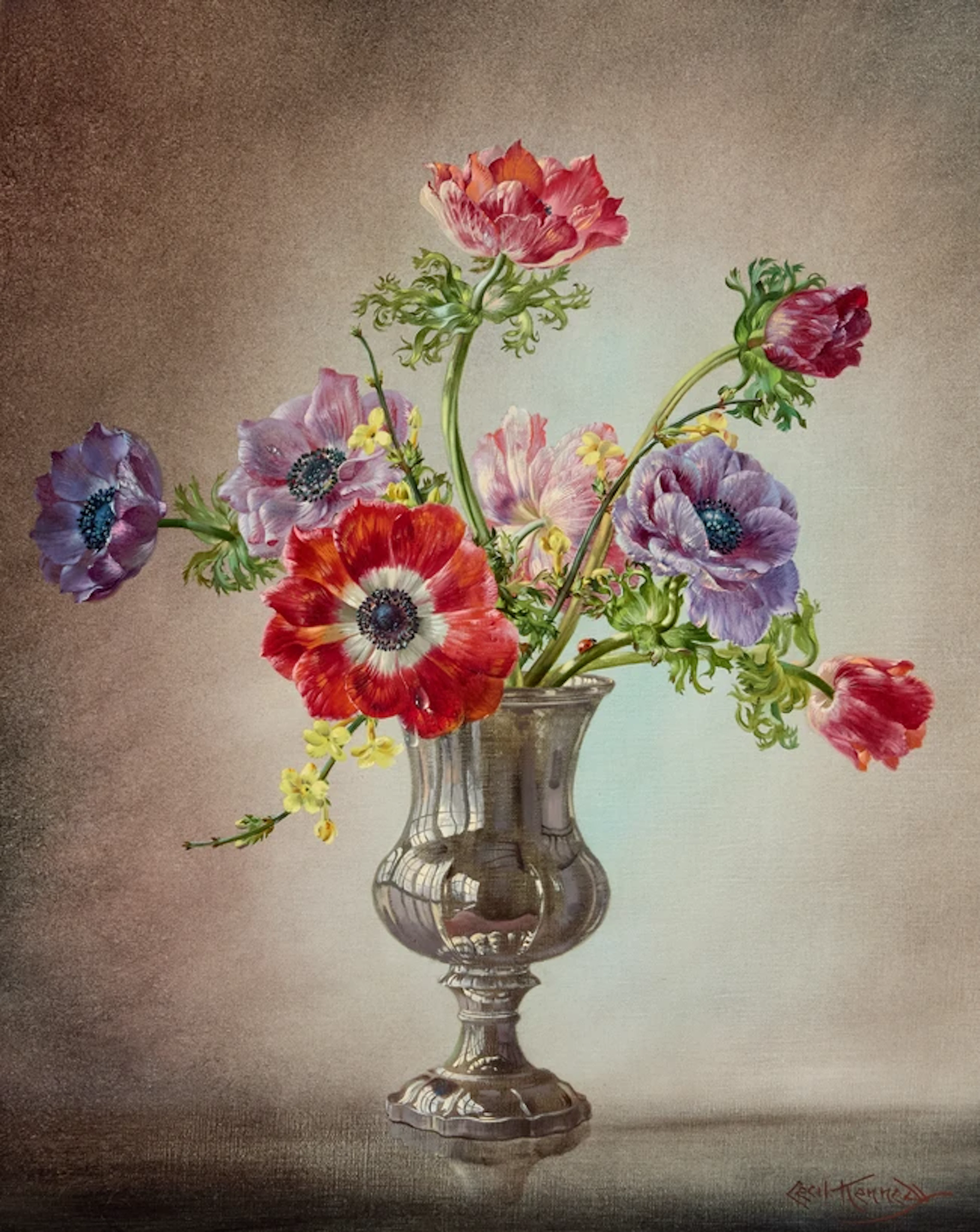 Cecil Kennedy