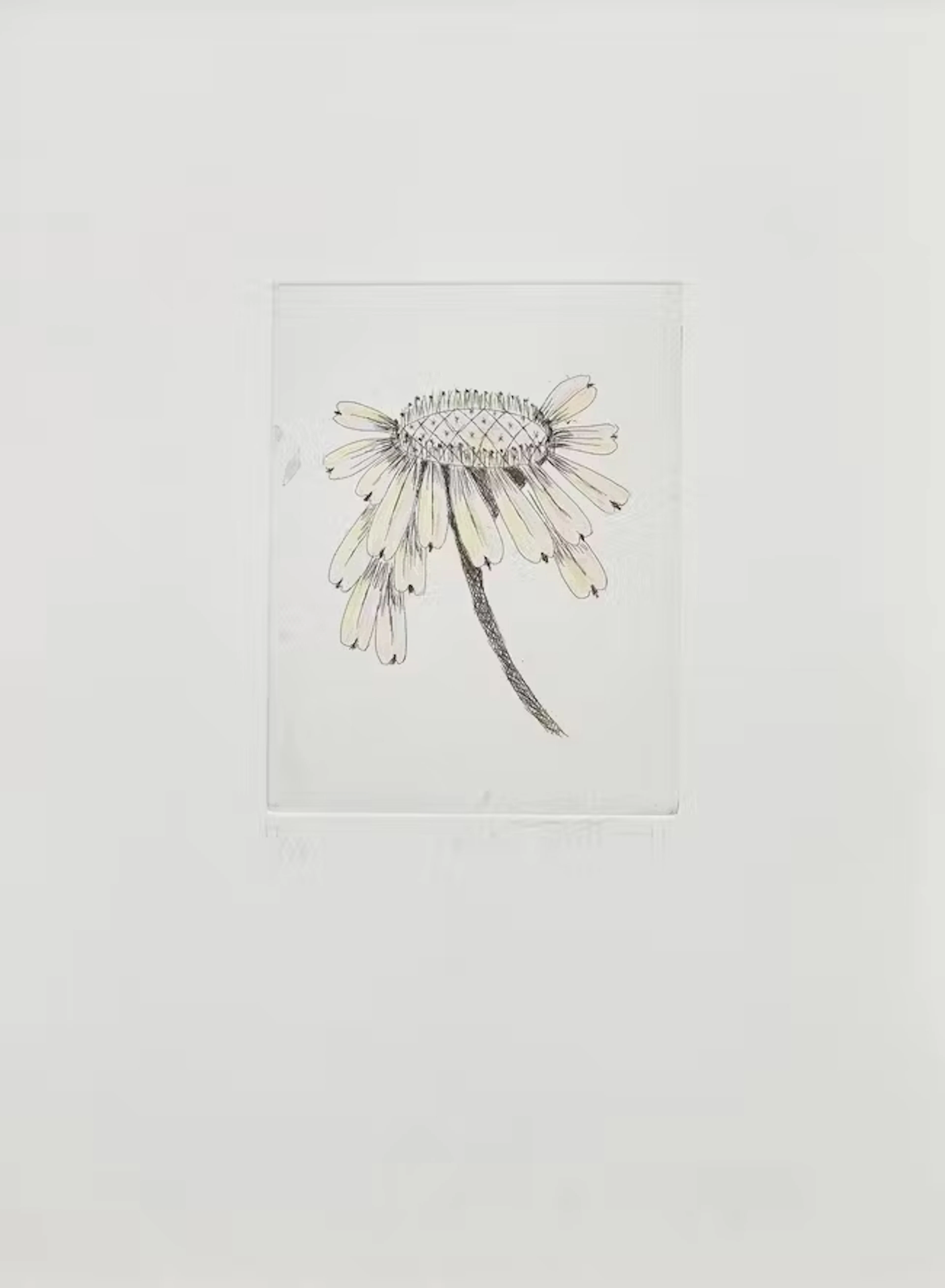 Kiki Smith