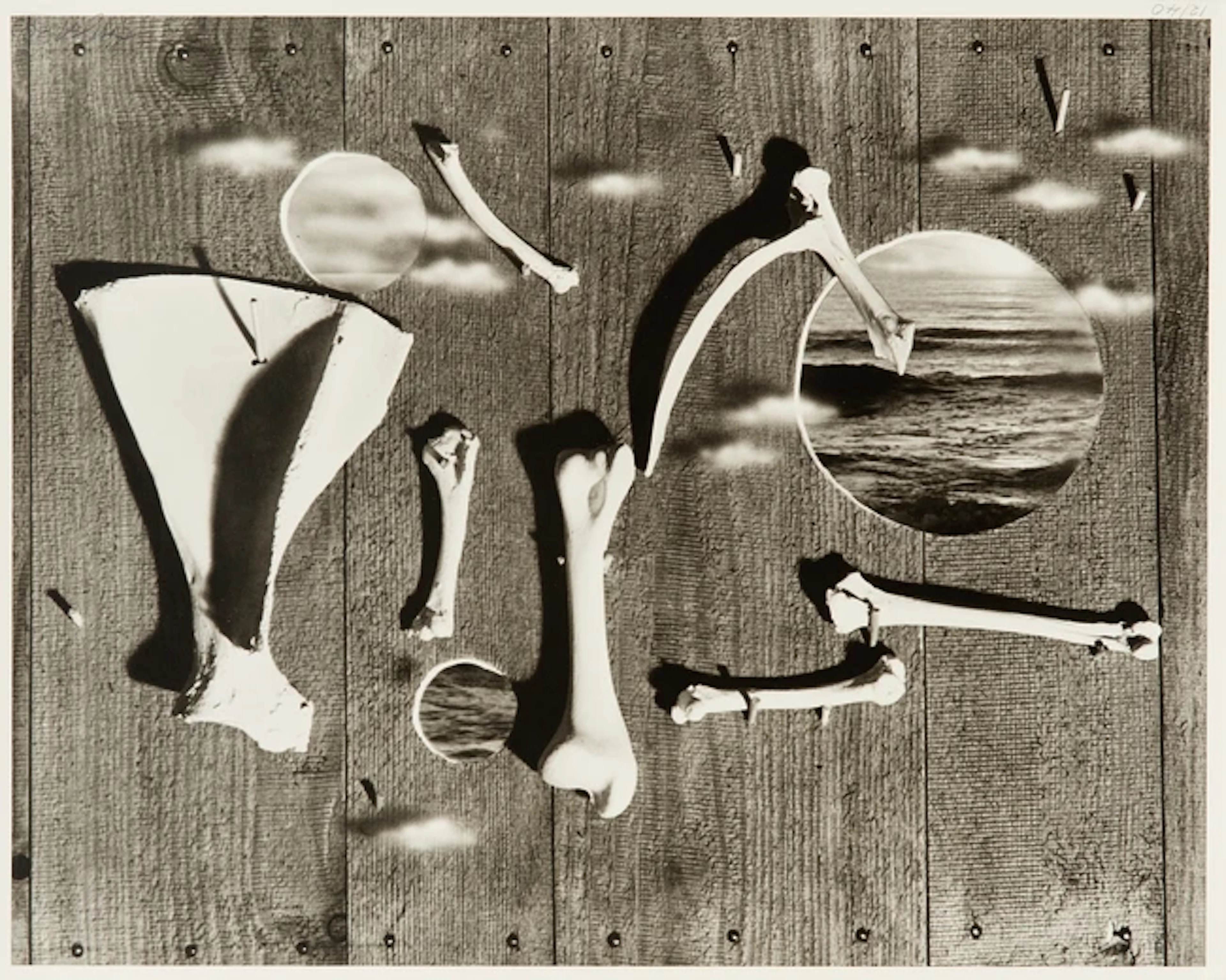 Herbert Bayer