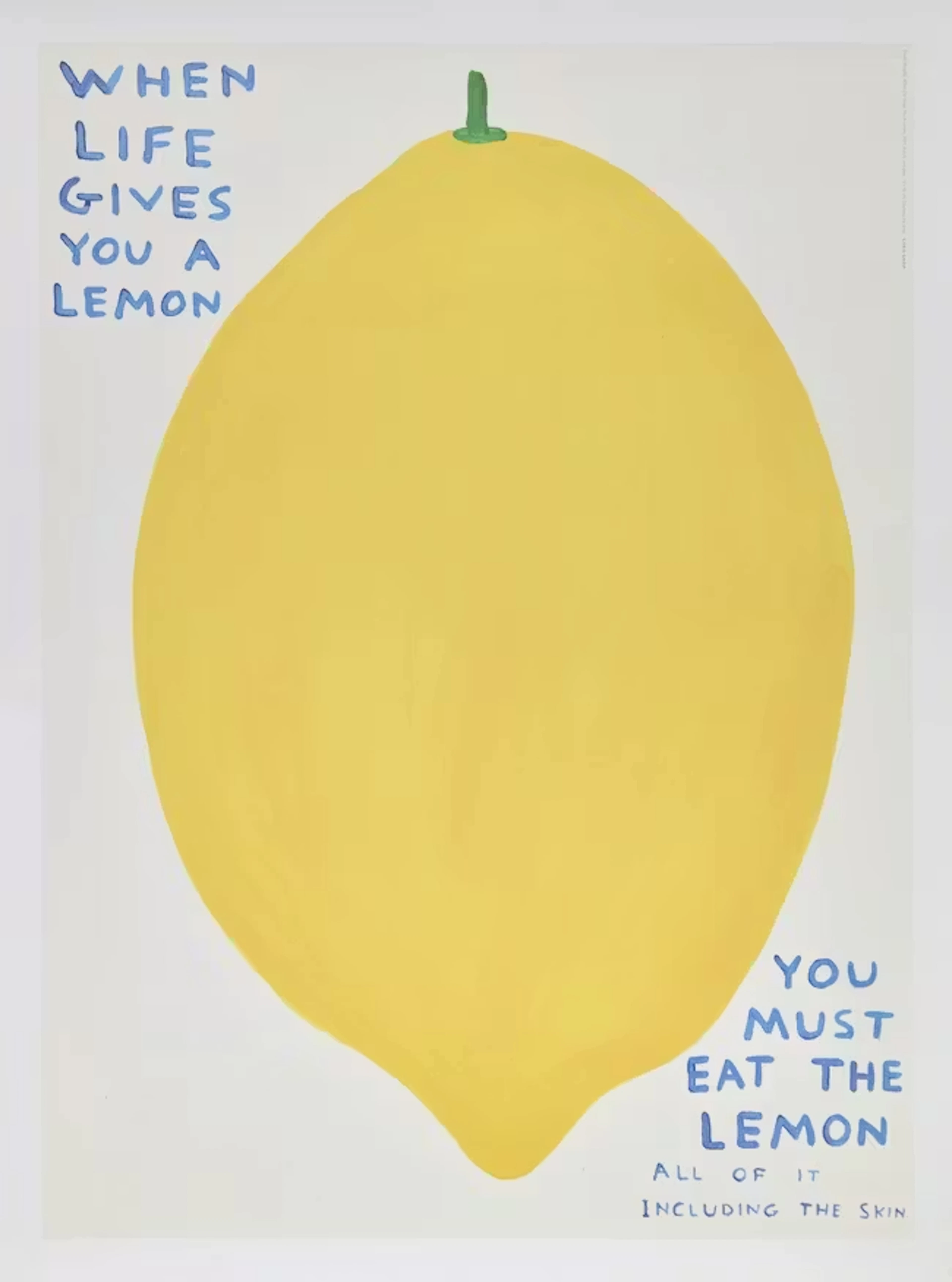 David Shrigley OBE