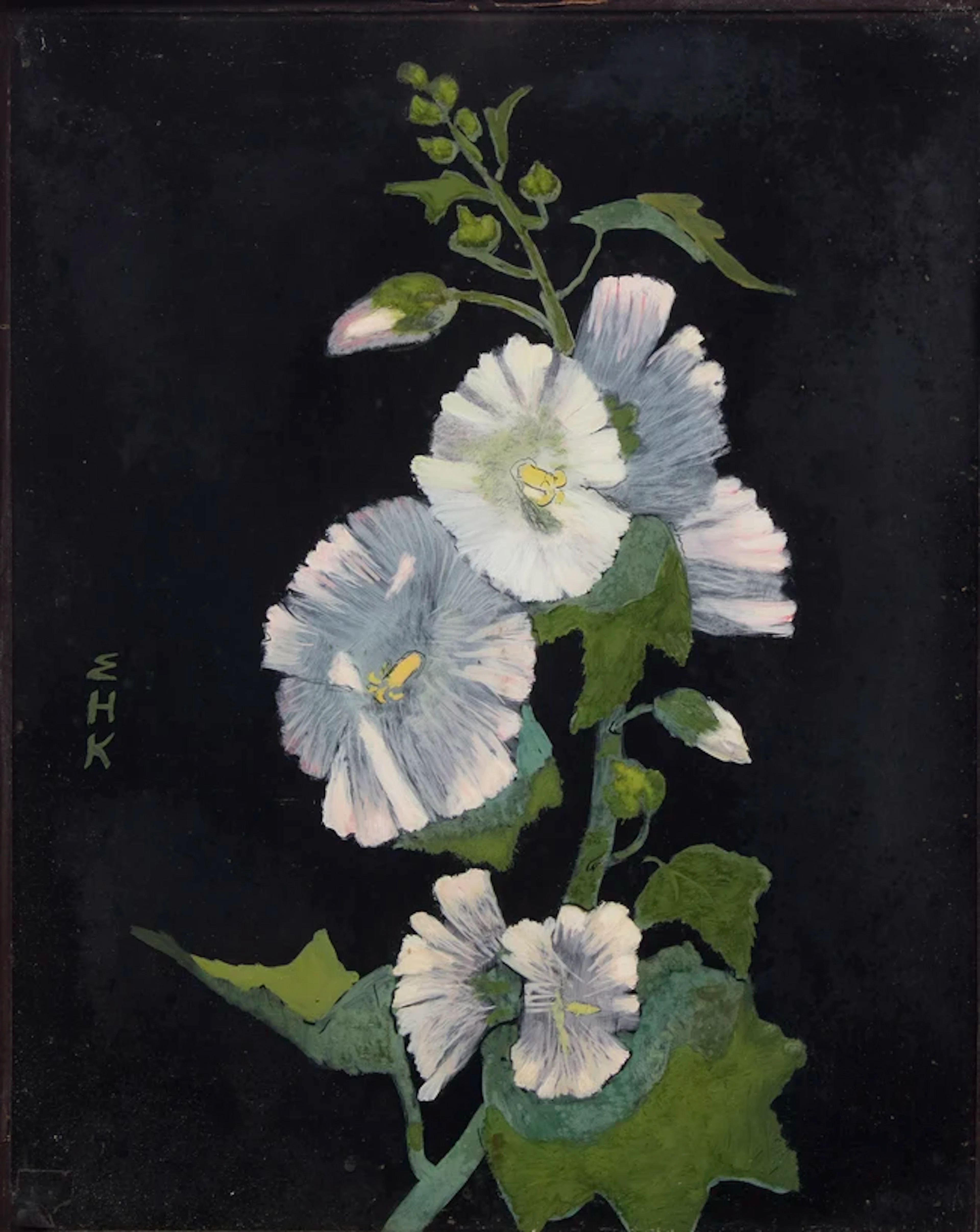 Erna Hoppe-Kinross