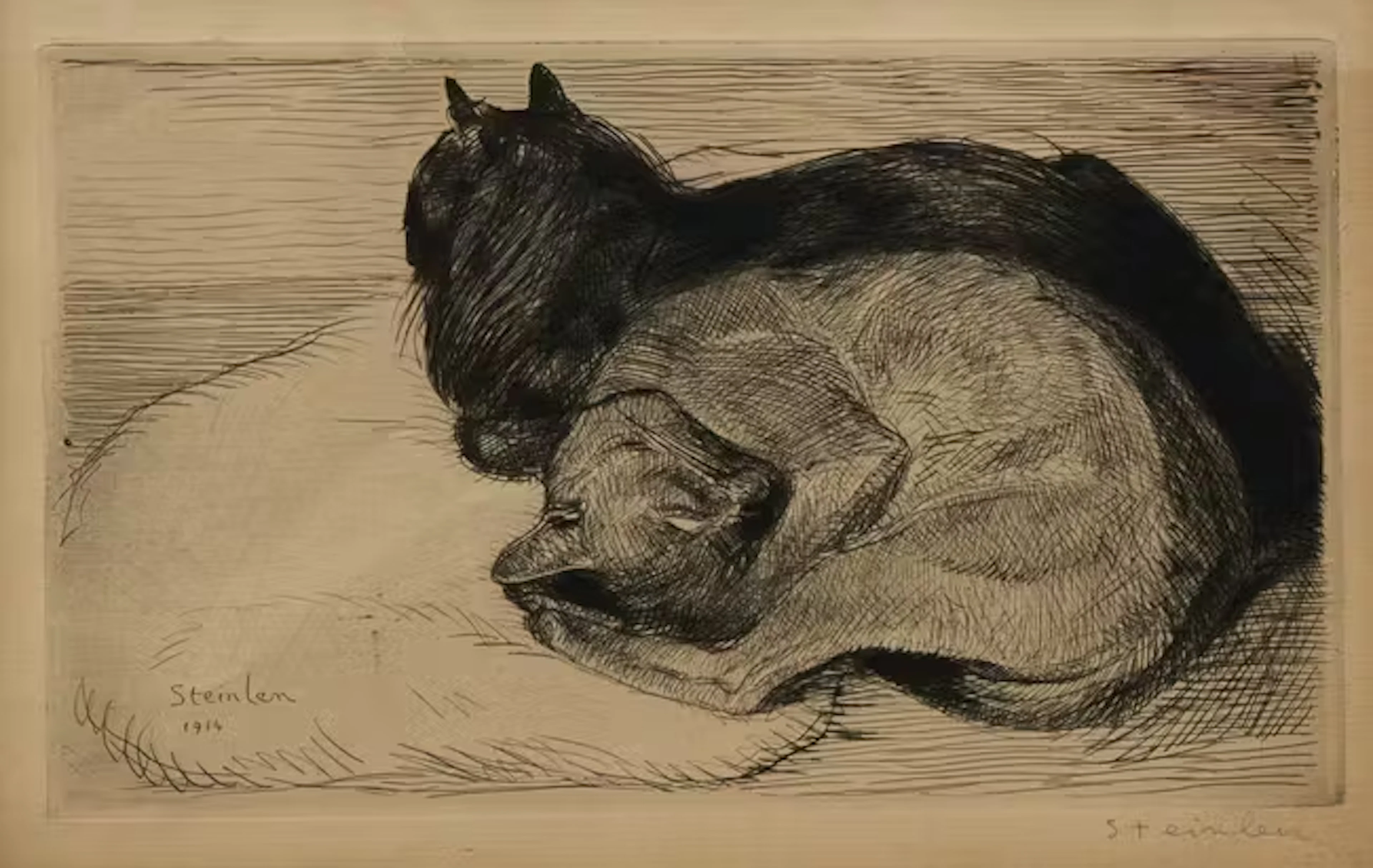 Theophile Alexandre Steinlen