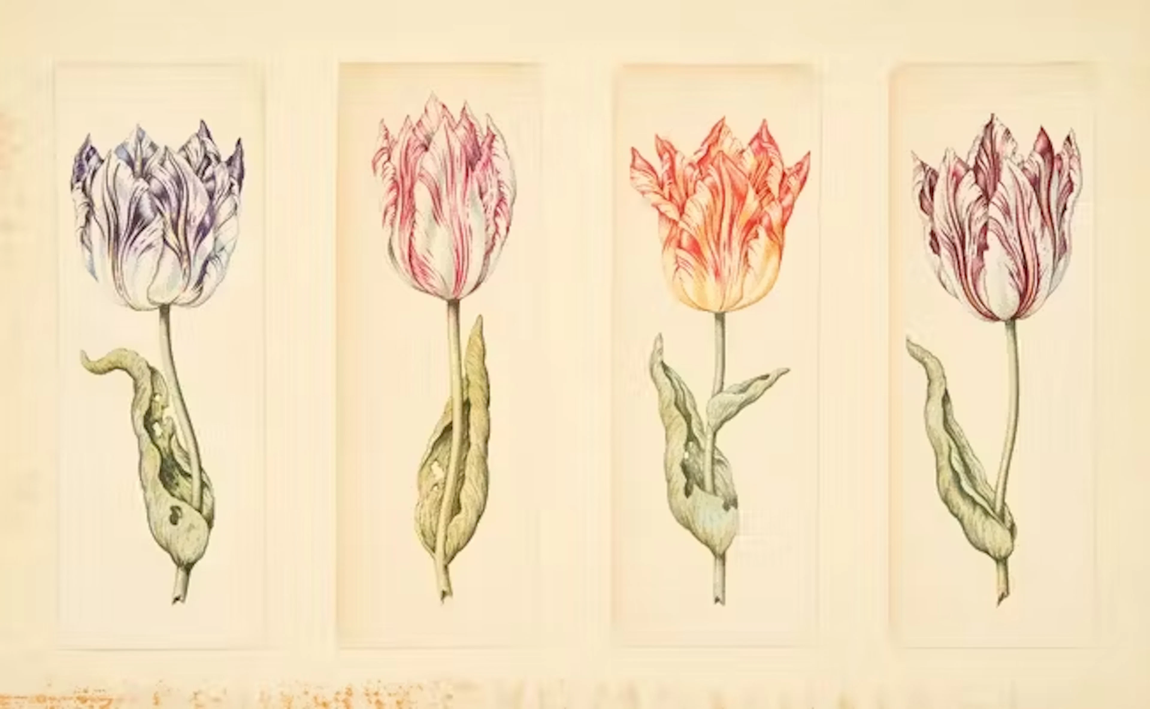 Attributed to Anthony Claesz