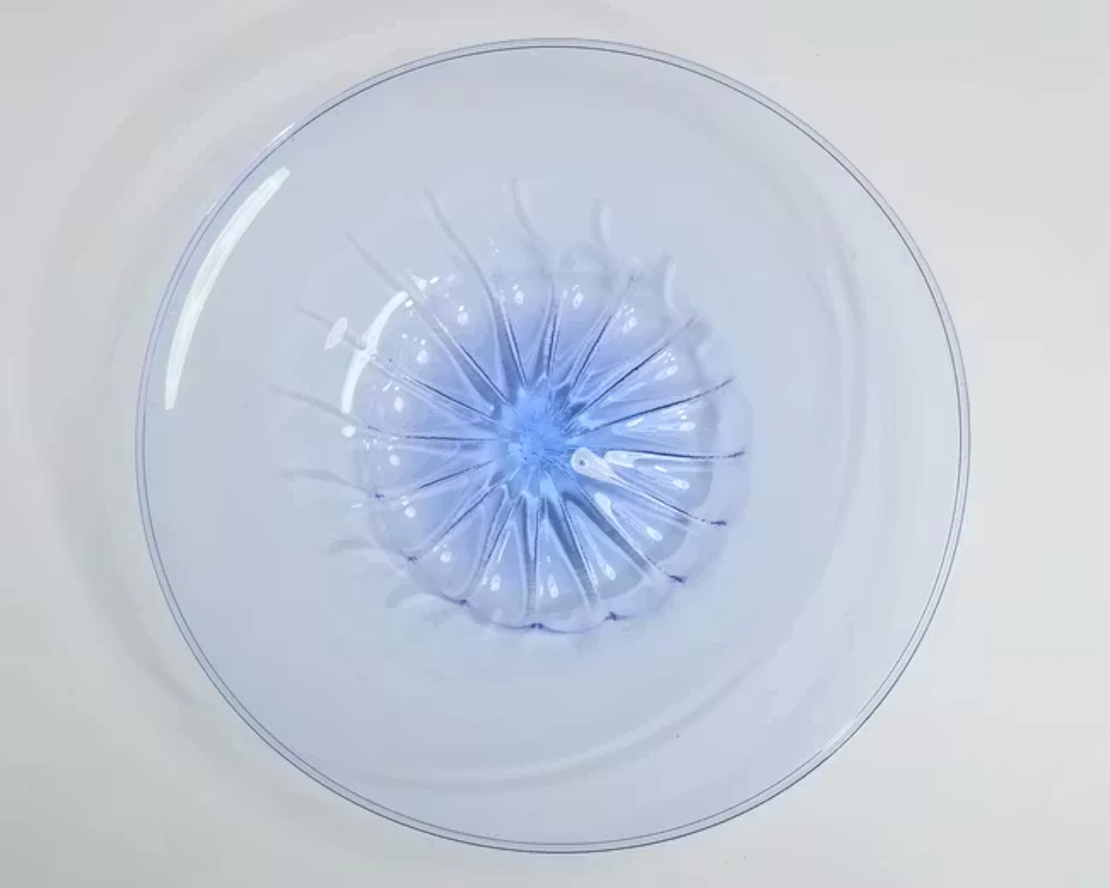 Vittorio Zecchin (1878-1947) for Venini Large charger