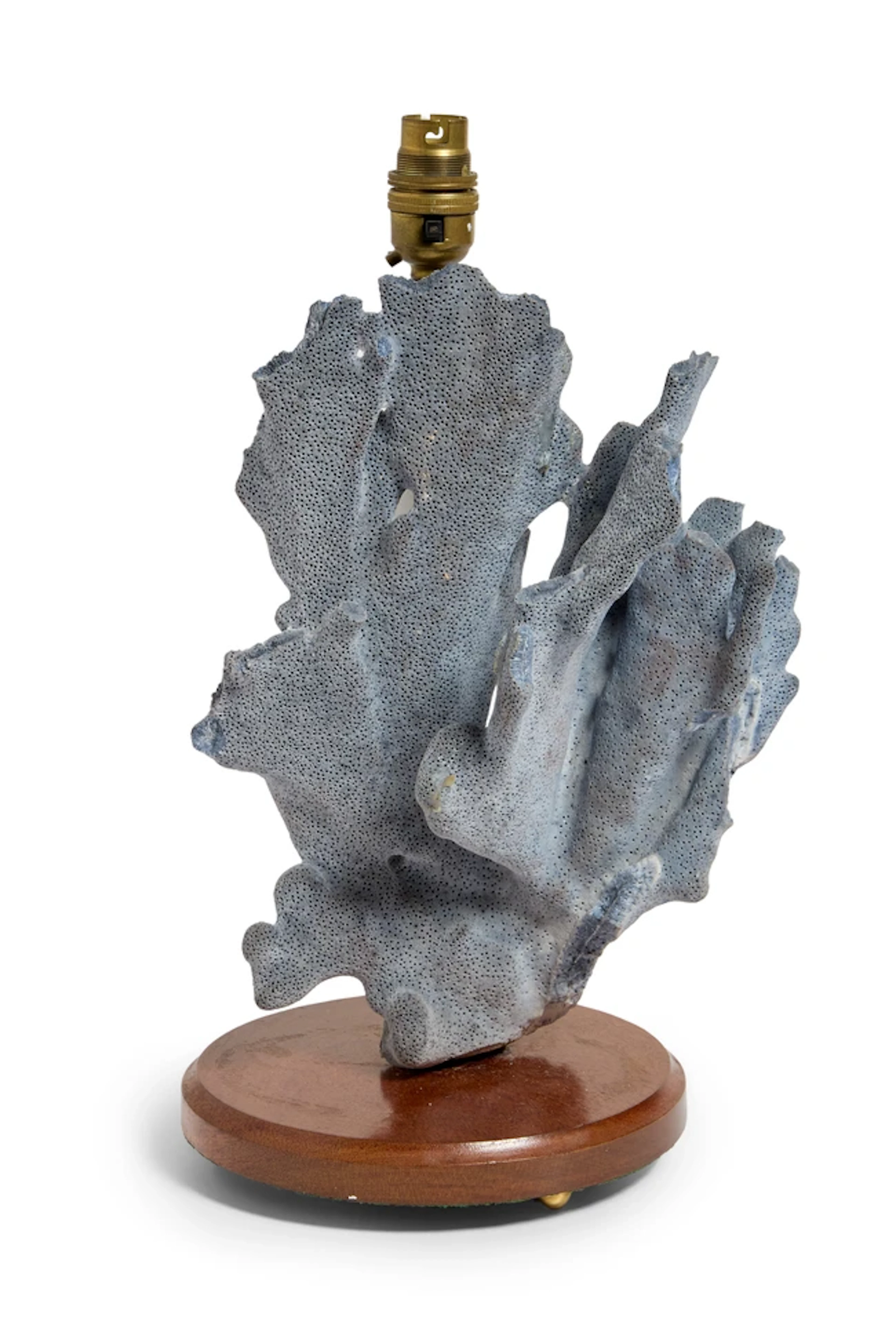 French Coral specimen lamp