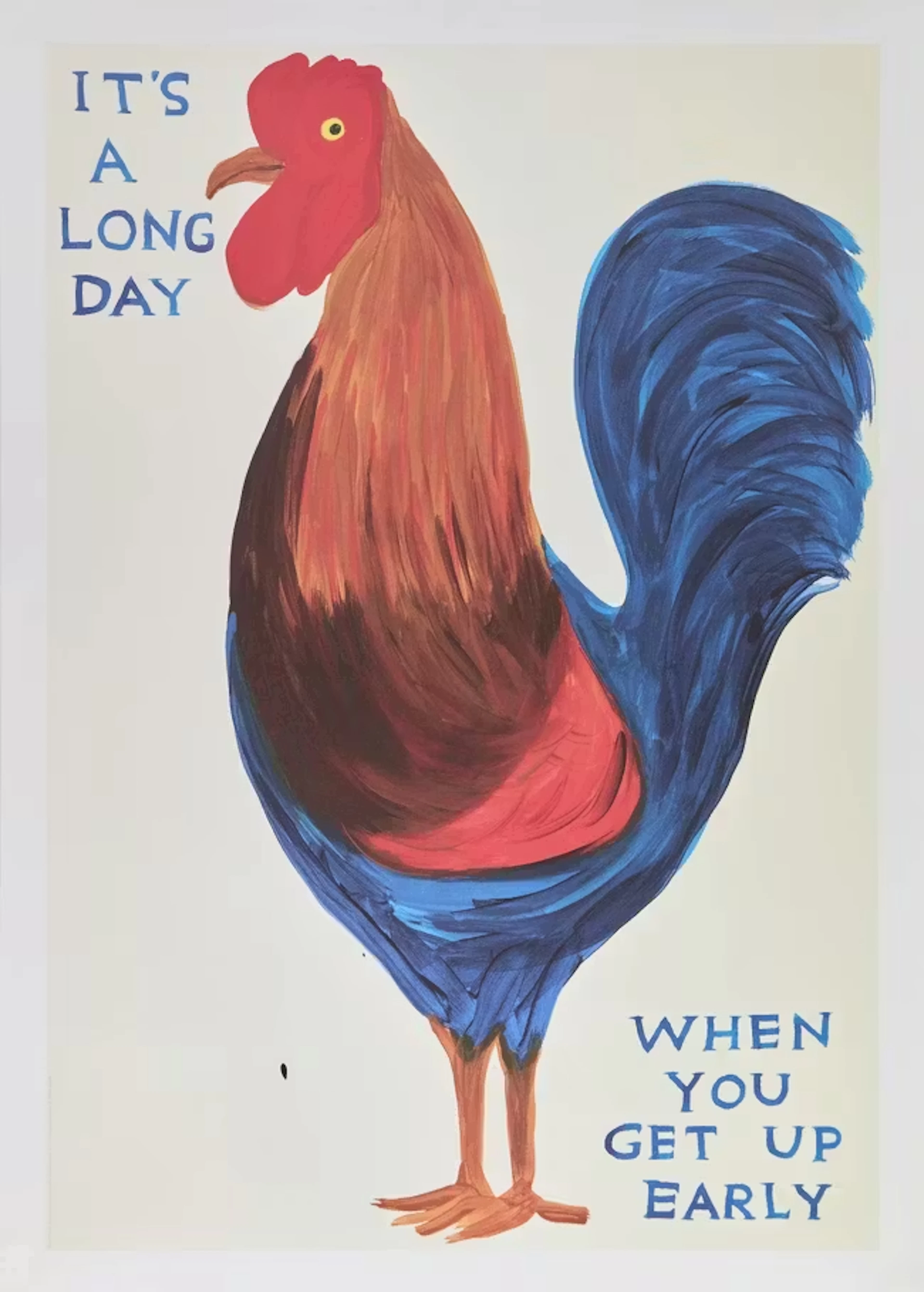 David Shrigley OBE