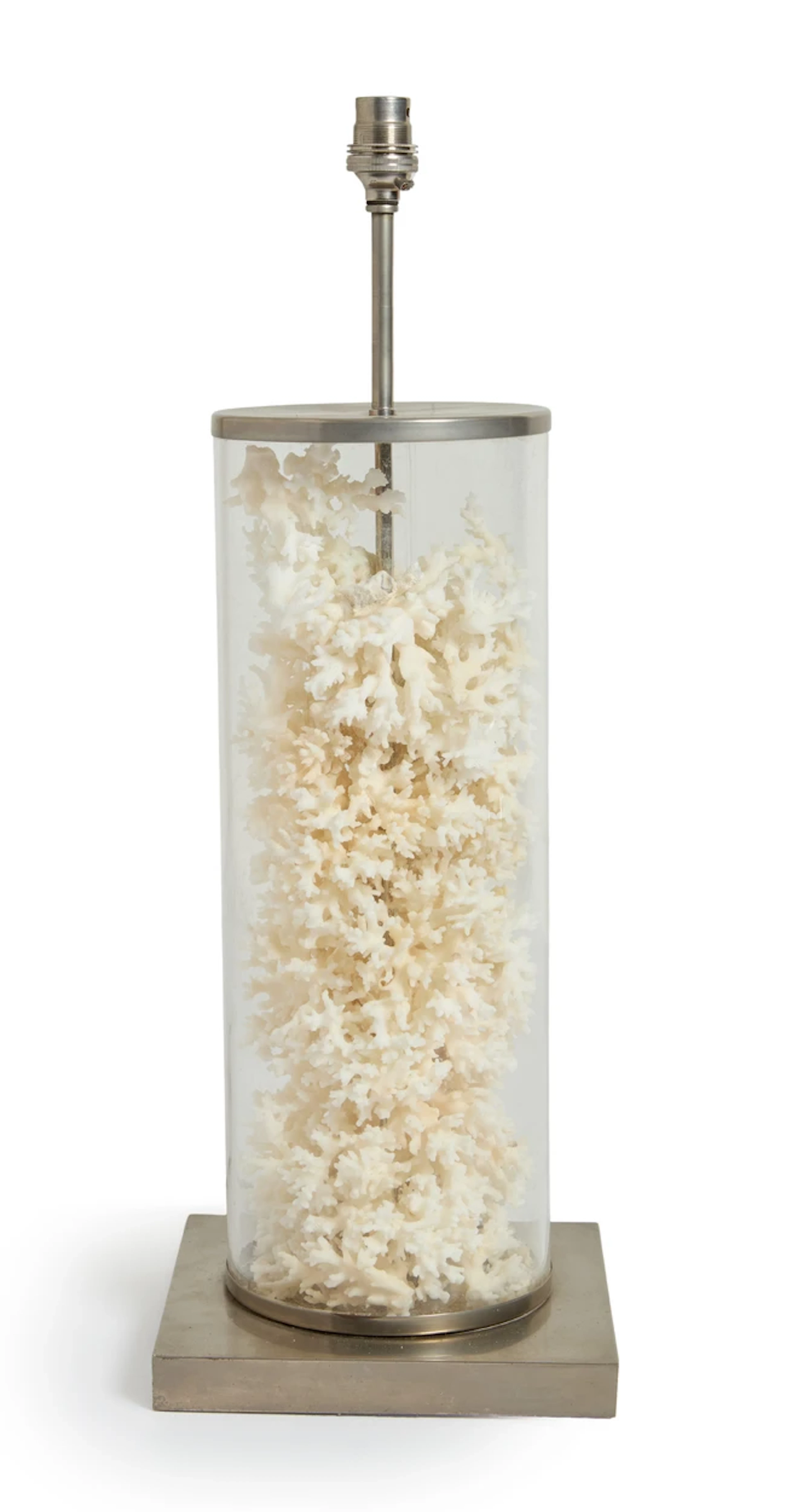 French Coral specimen table lamp