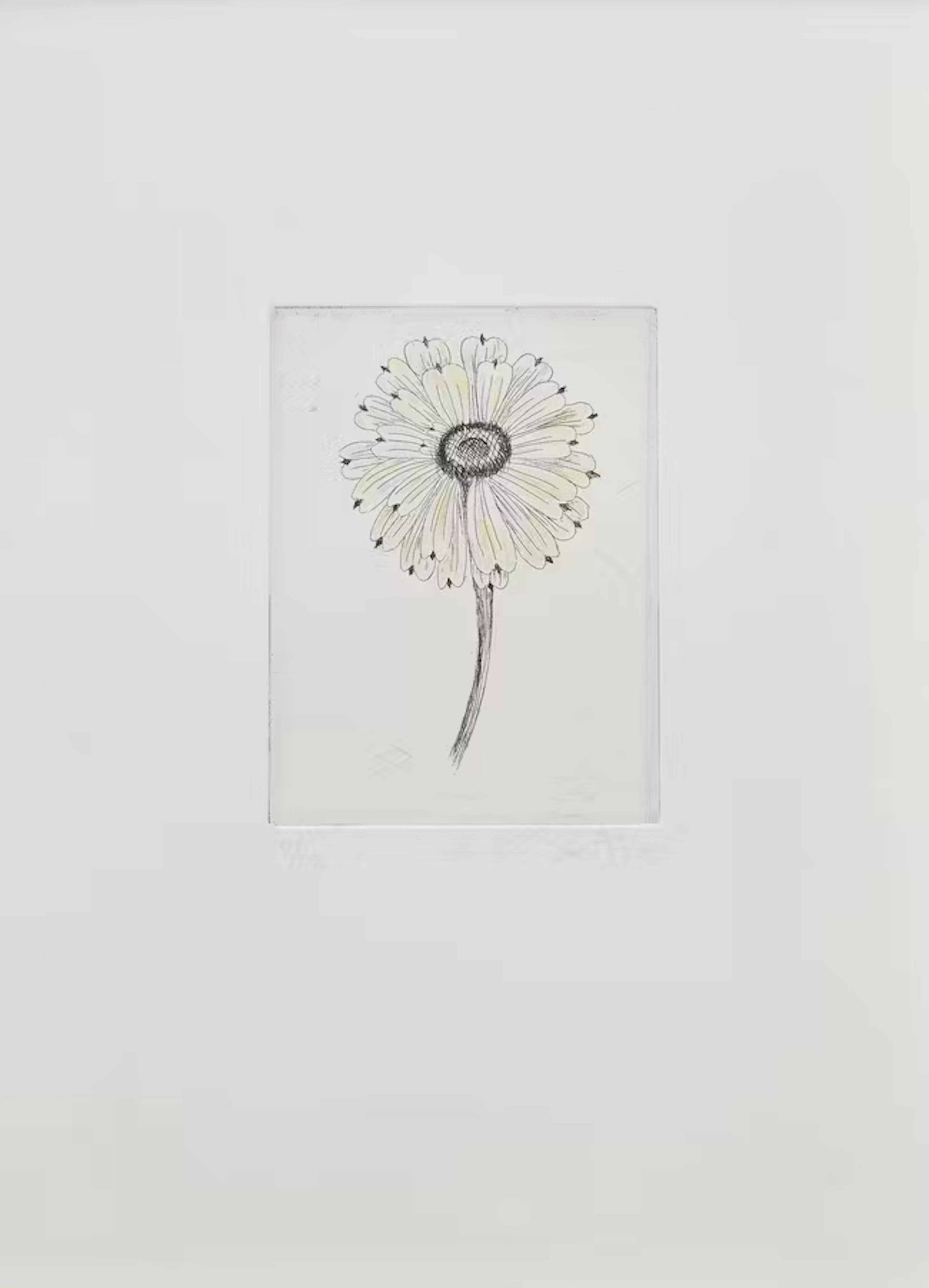 Kiki Smith