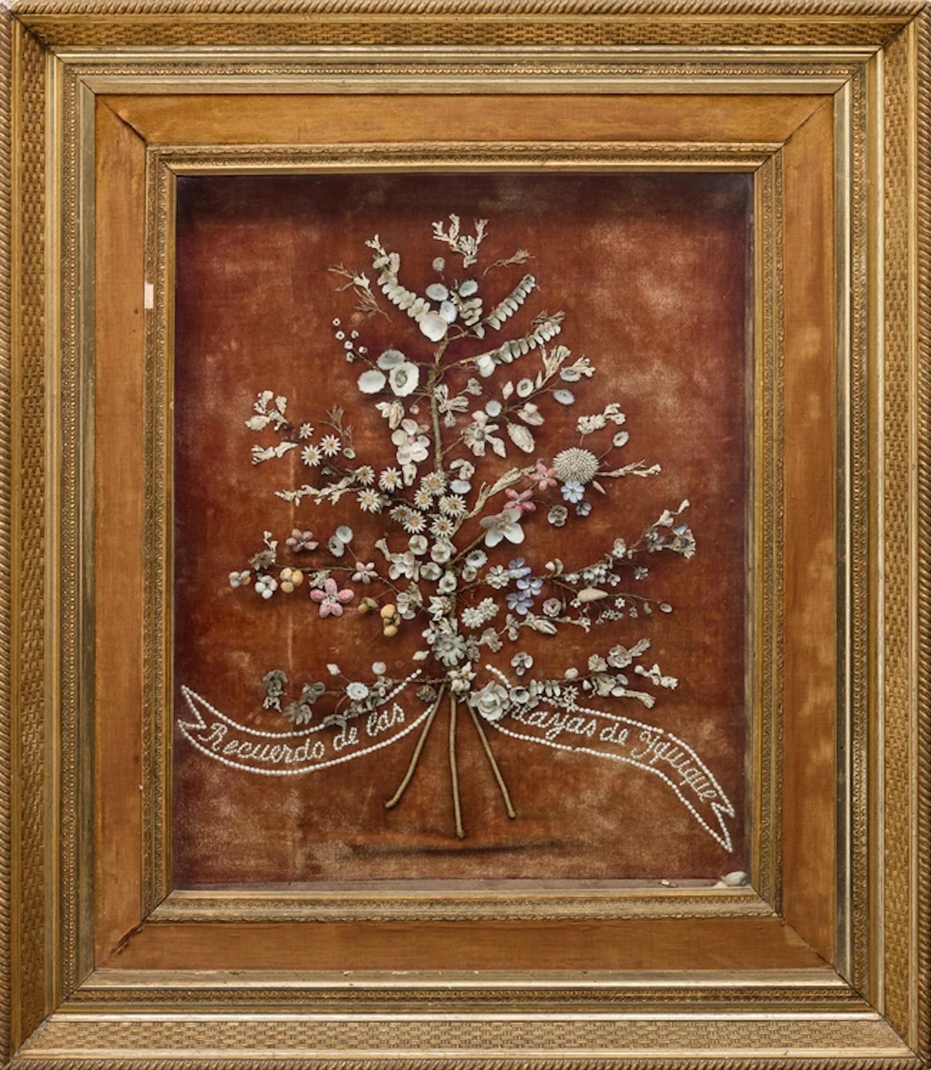 A Spanish shell picture