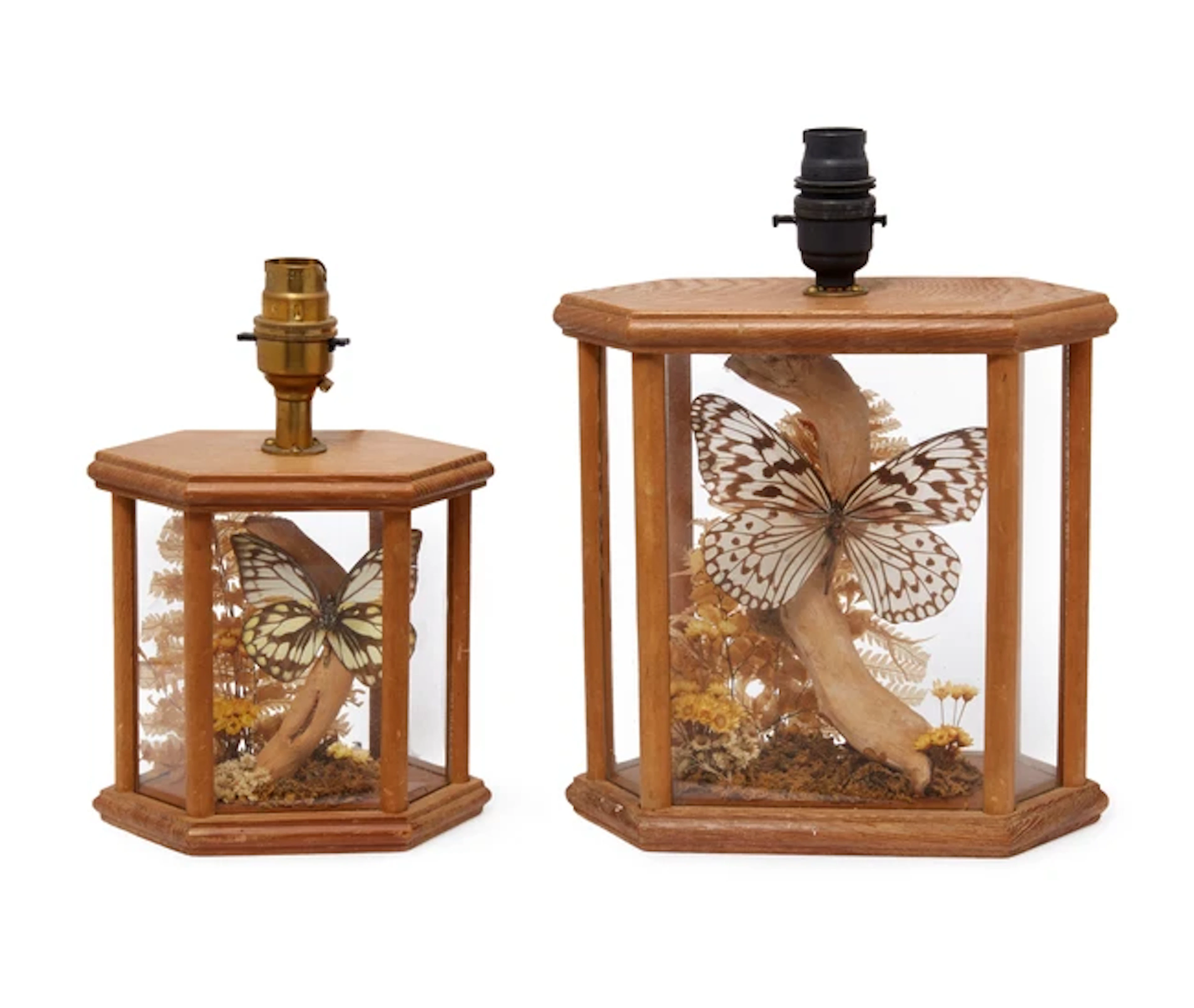 Continental Pair of Butterfly specimen diorama lamps