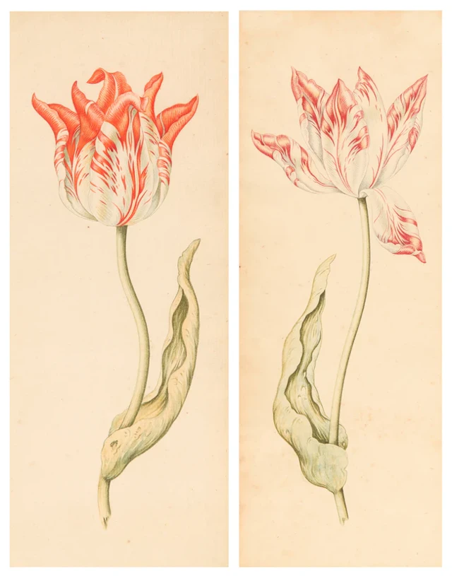Attributed to Anthony Claesz
