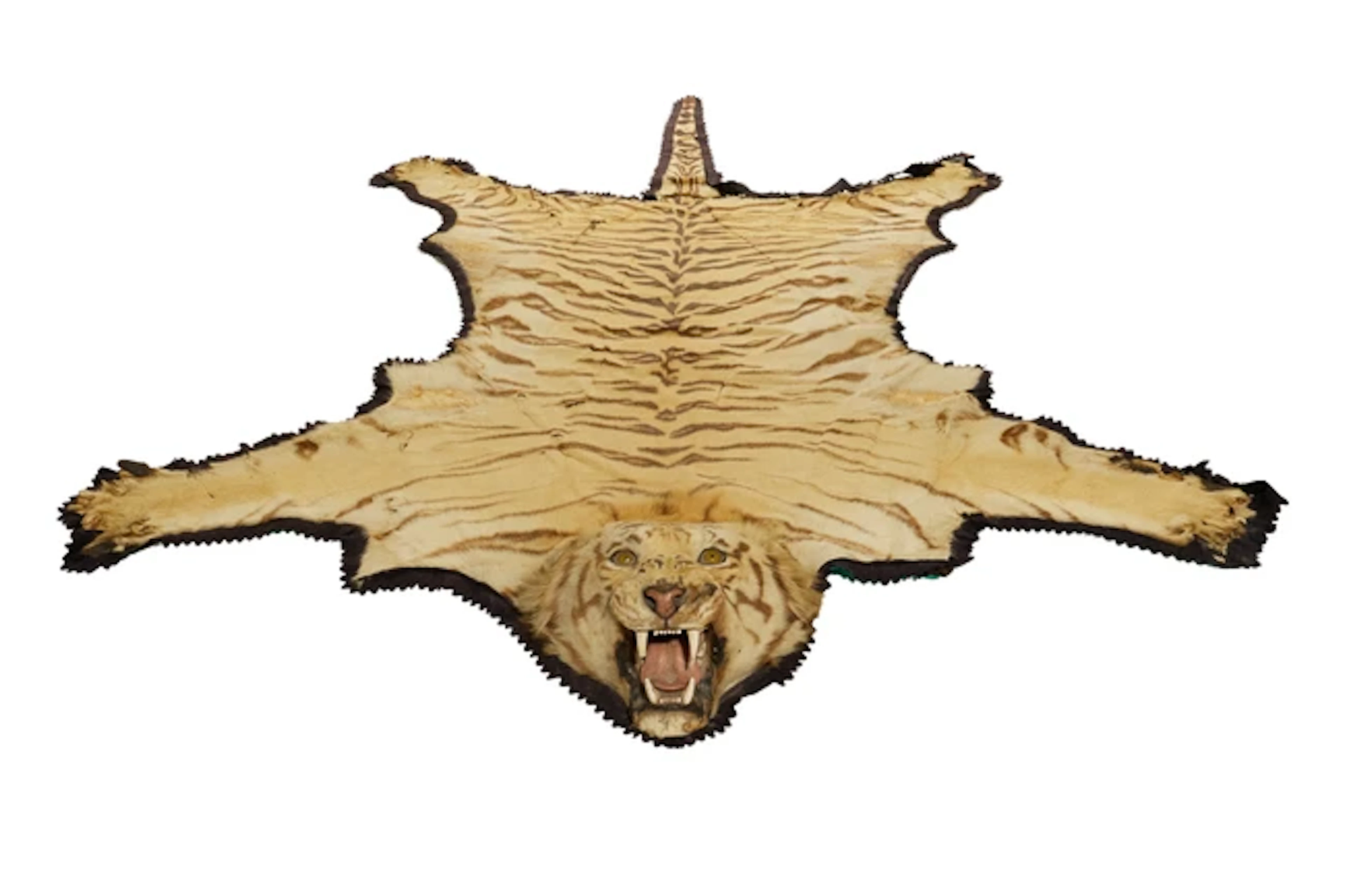 A tiger skin rug