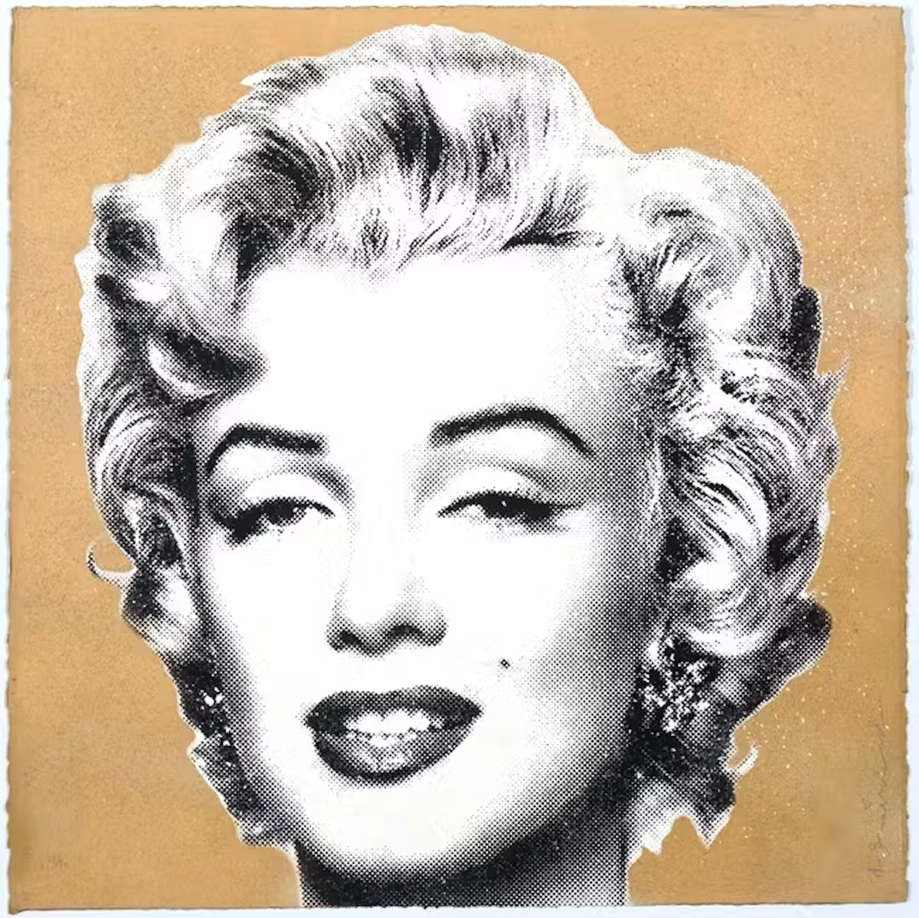 Mr Brainwash