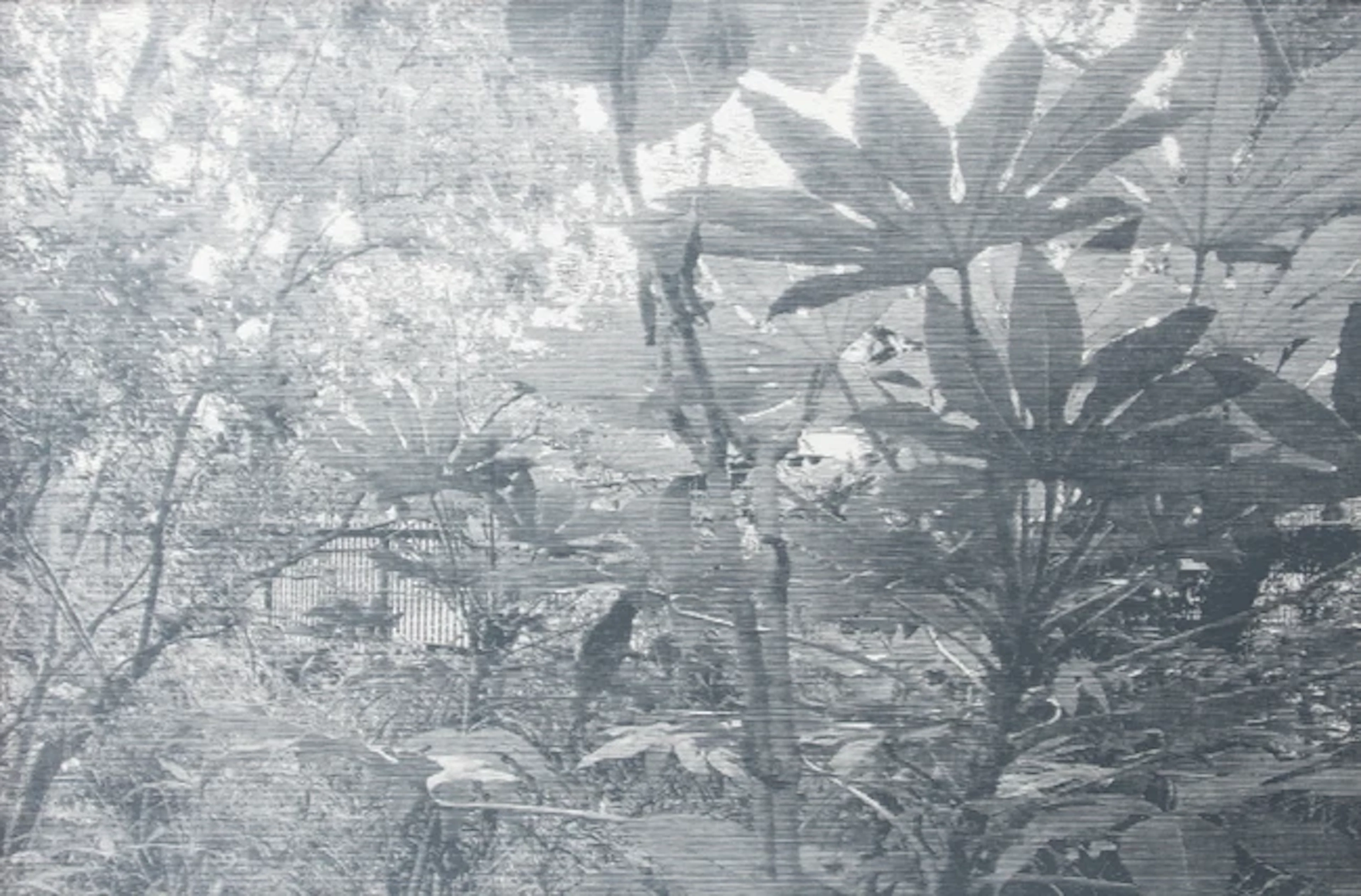 Katsutoshi Yuasa