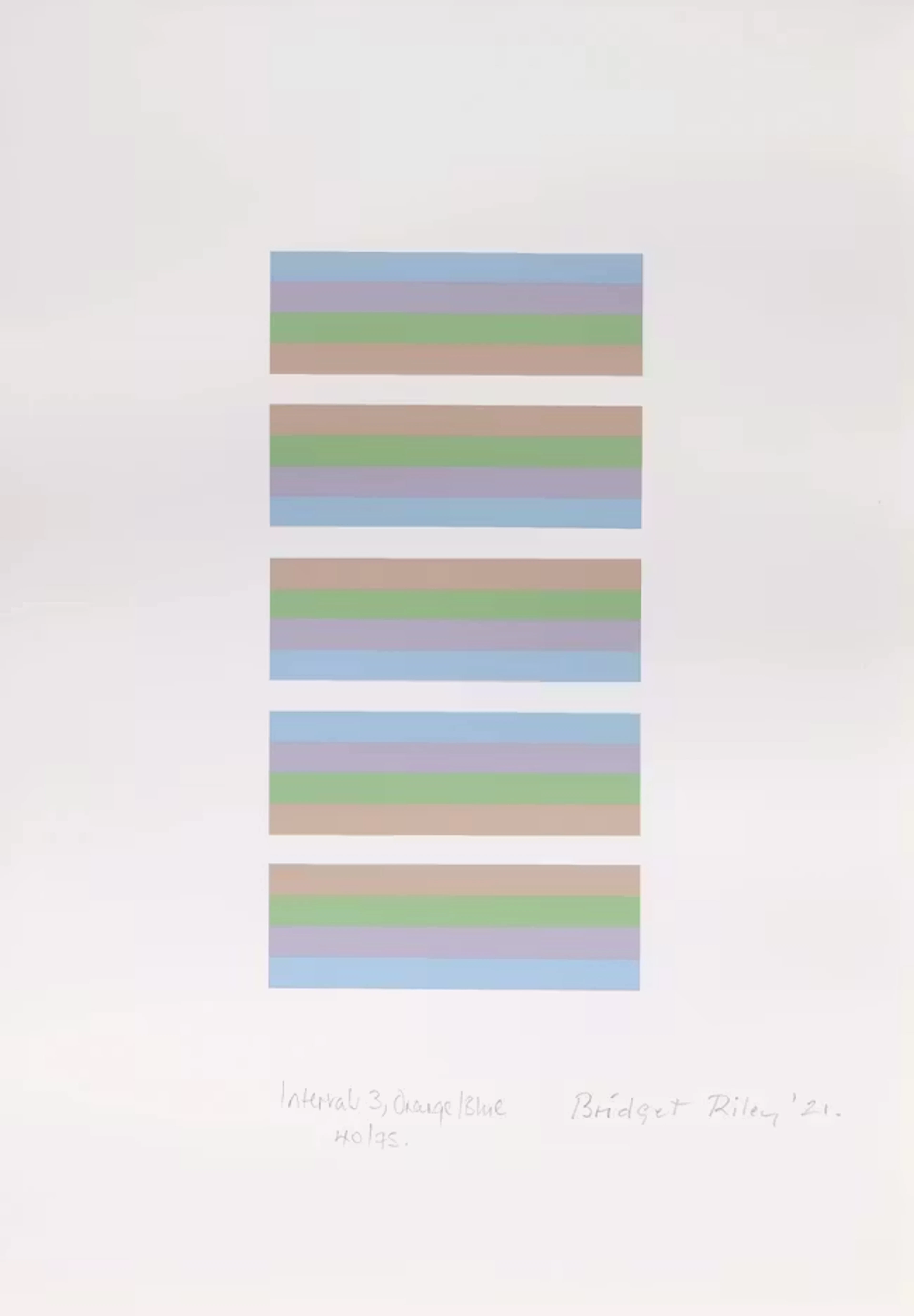 Bridget Riley CH CBE