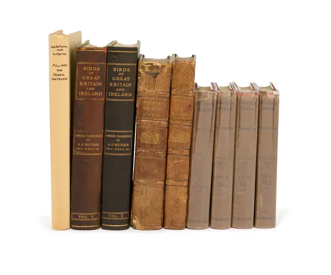 A collection of books on Natural History