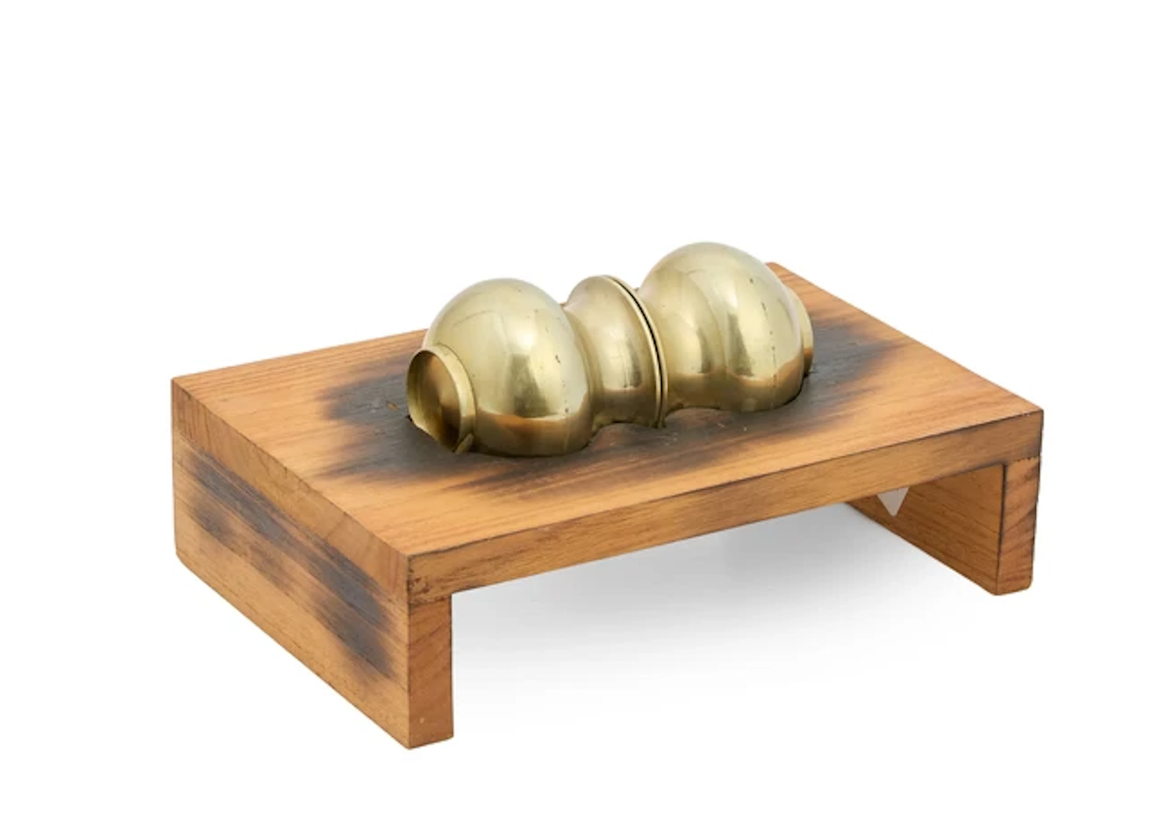 Subodh Gupta