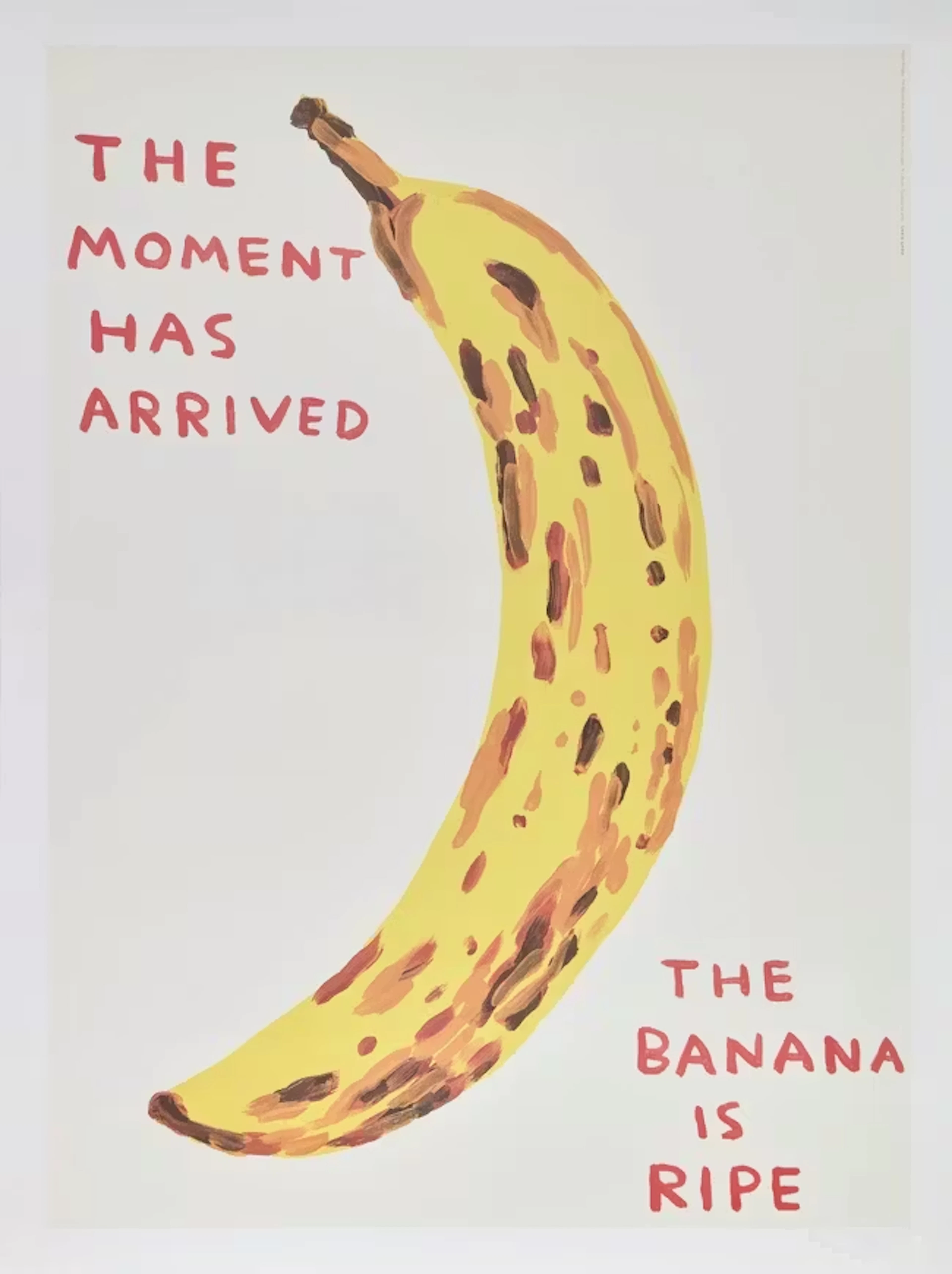David Shrigley OBE
