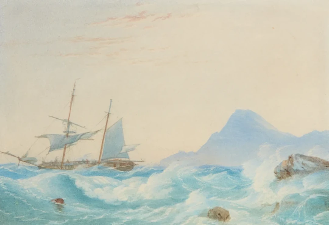 William Joy